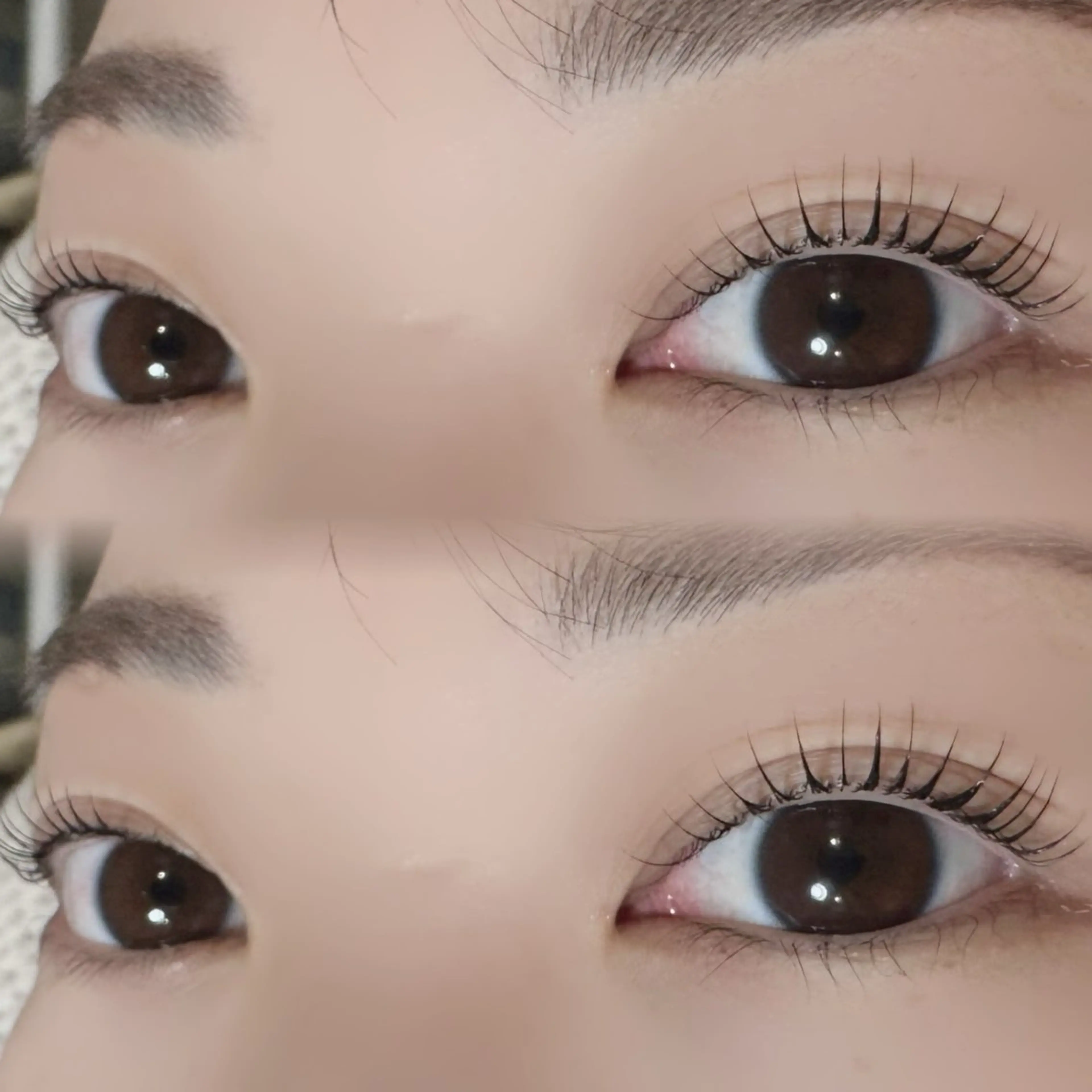 マツエク・マツパ 韓国風マツエク MaaZ 7🦖⸒⸒のマツエク・マツパデザイン