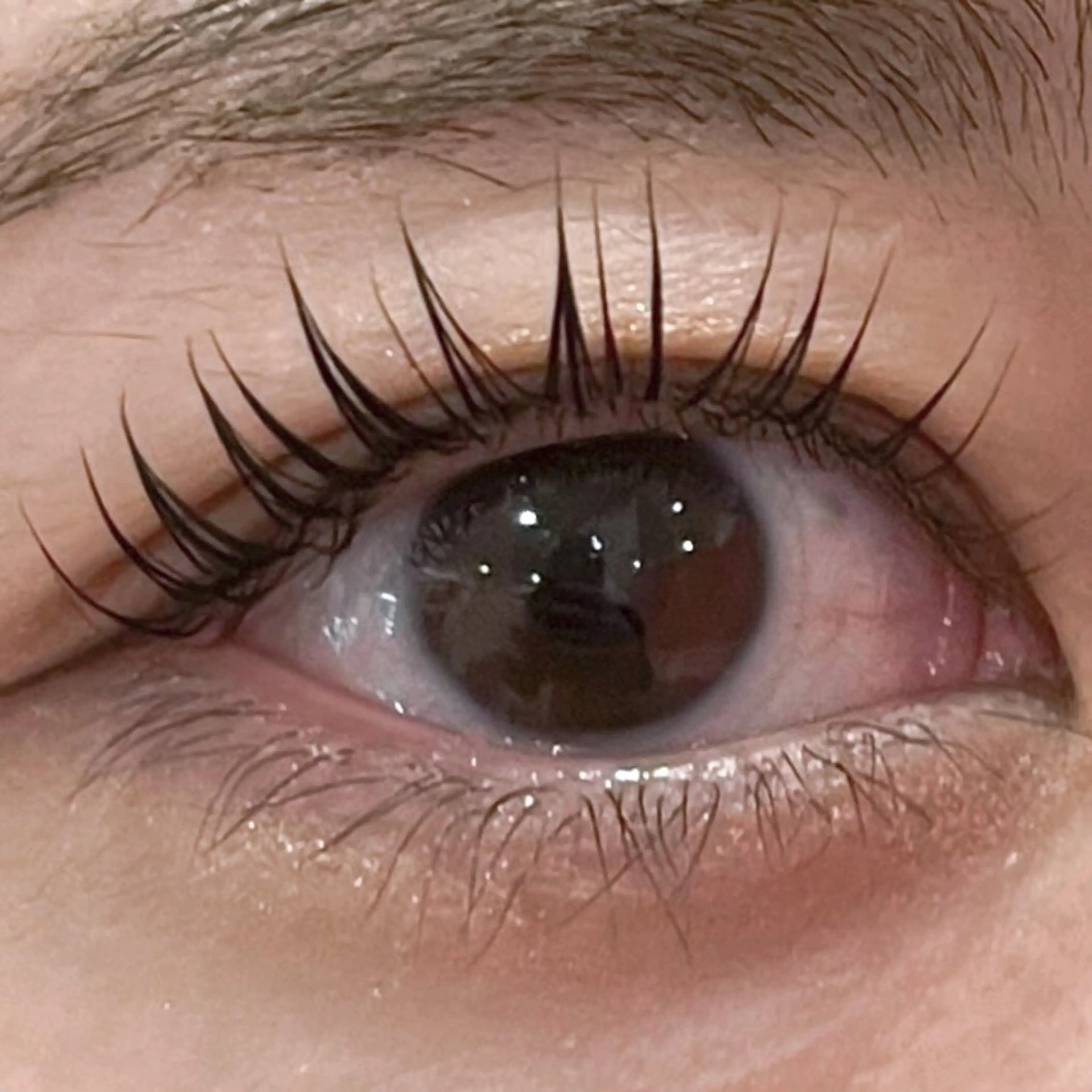 マツエク・マツパ M's(ミス) LEDマツエクさくらのマツエク・マツパデザイン