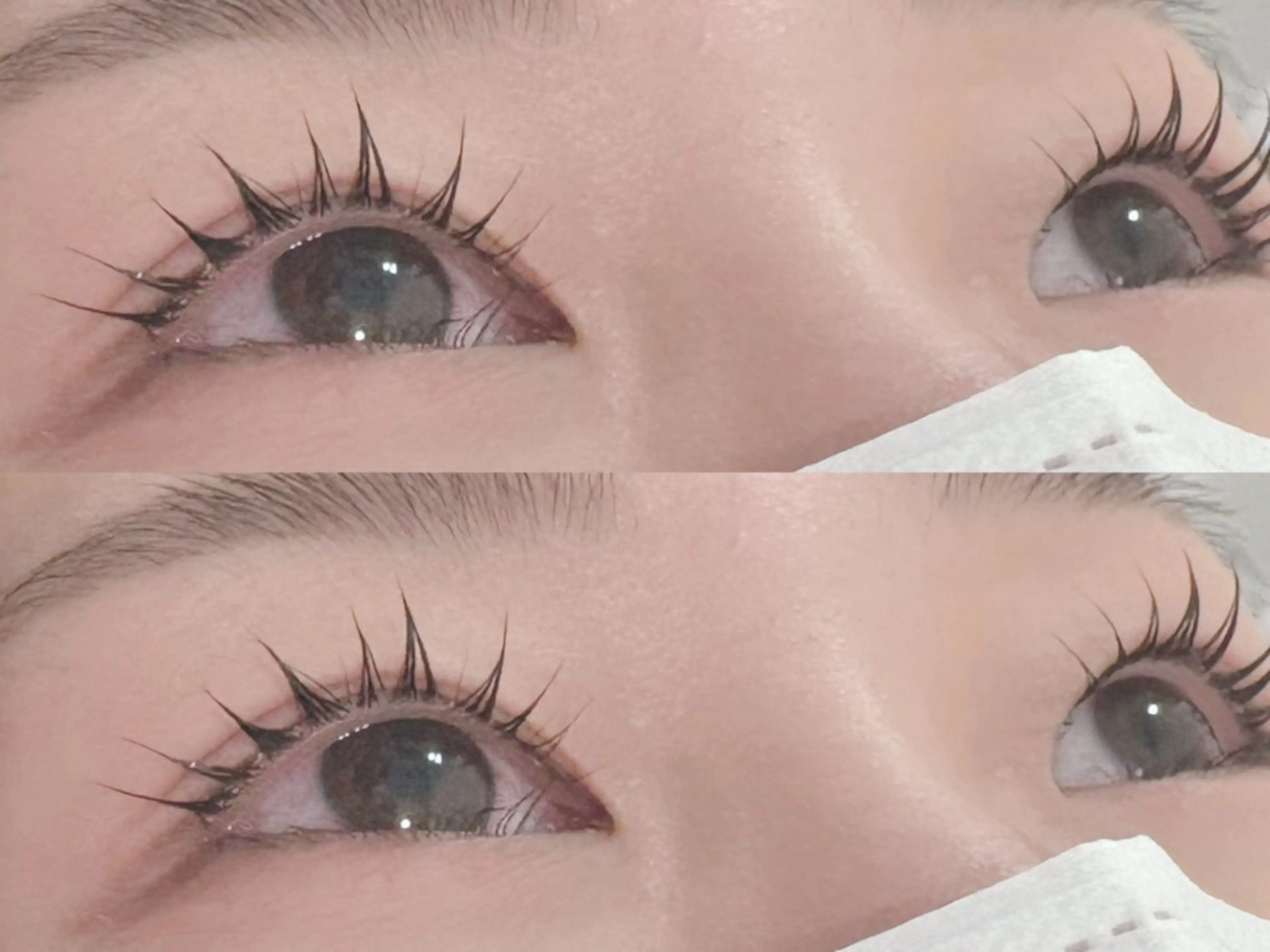 マツエク・マツパ EYELA所沢店 ayariのマツエク・マツパデザイン