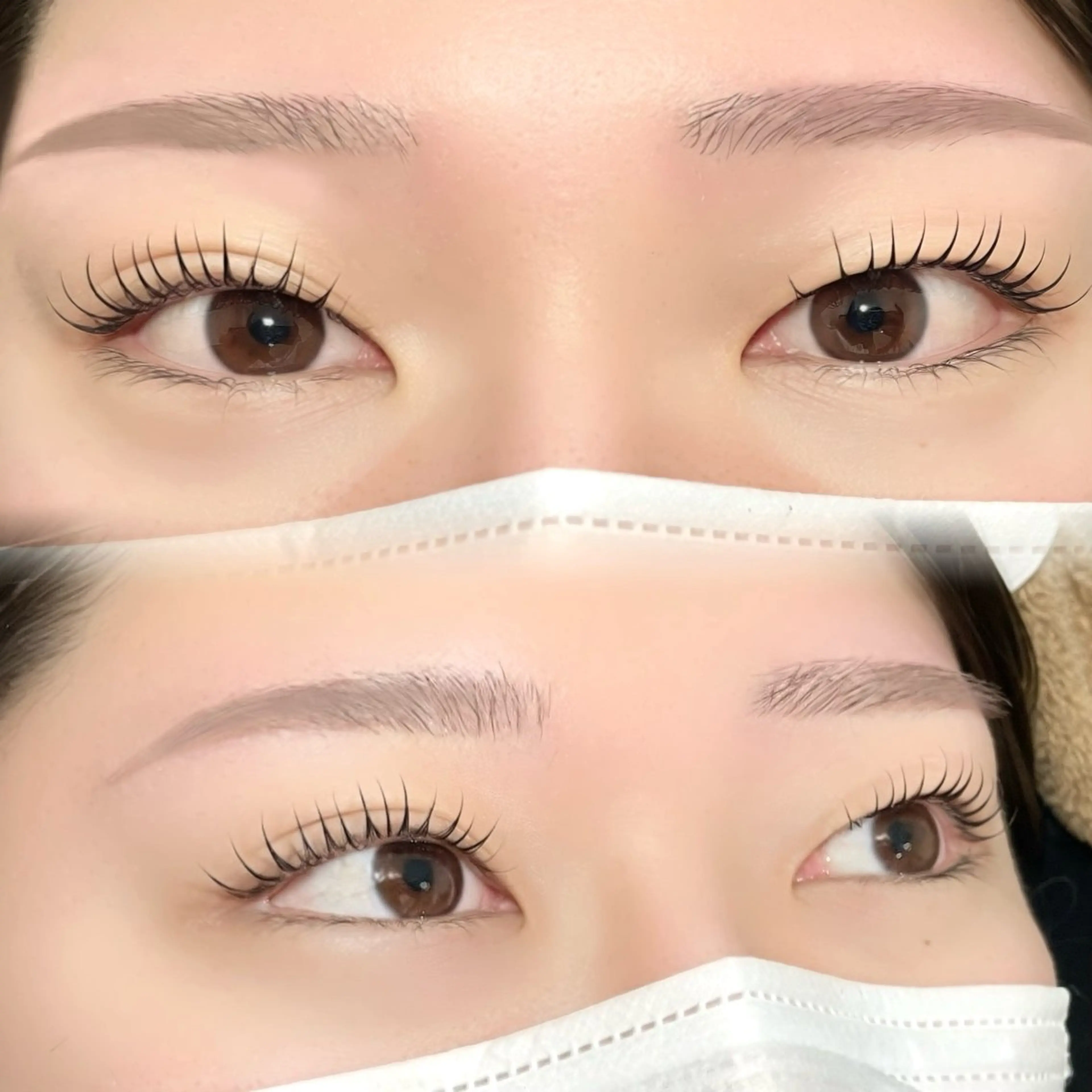 ダニ予防🫧【ﾗｯｼｭﾘﾌﾄ＋ｱｲｼｬﾝﾌﾟｰ】の写真