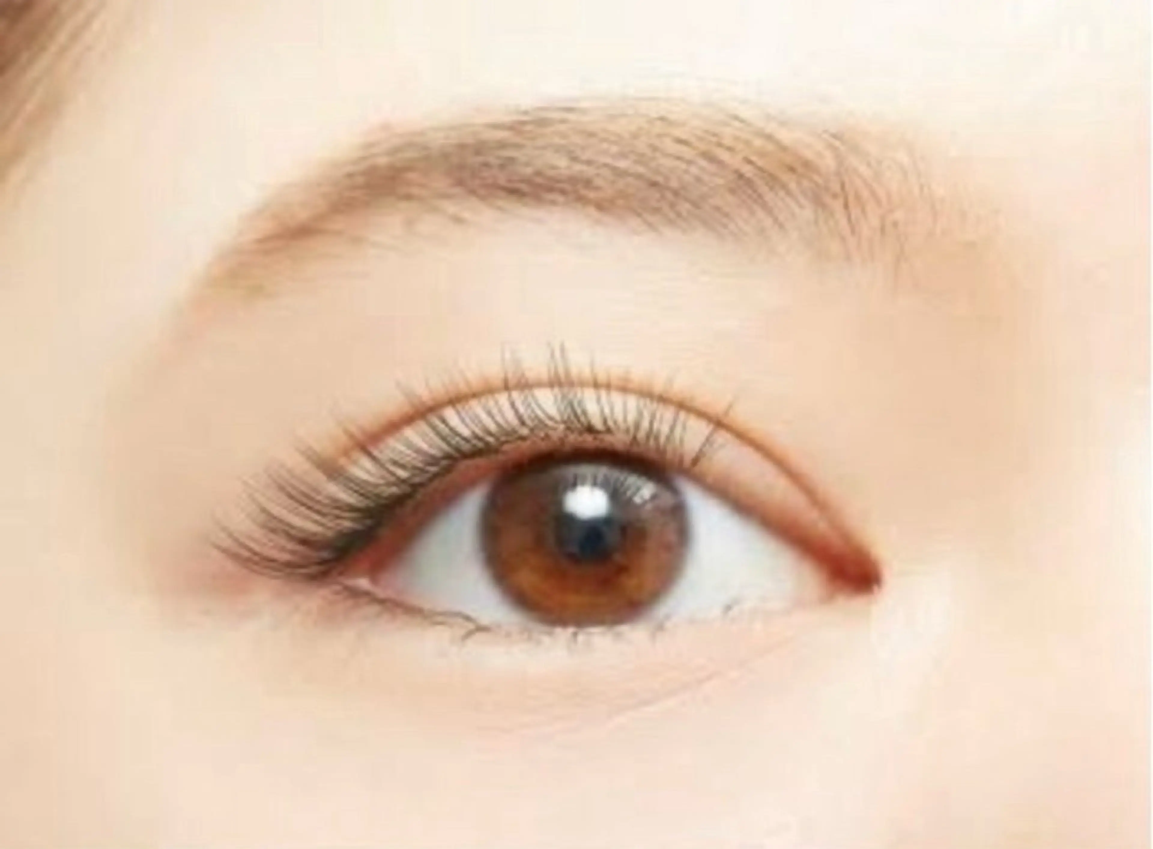 高持続ラッシュリフト(トリートメント付き)＋美眉スタイリング🪄の写真