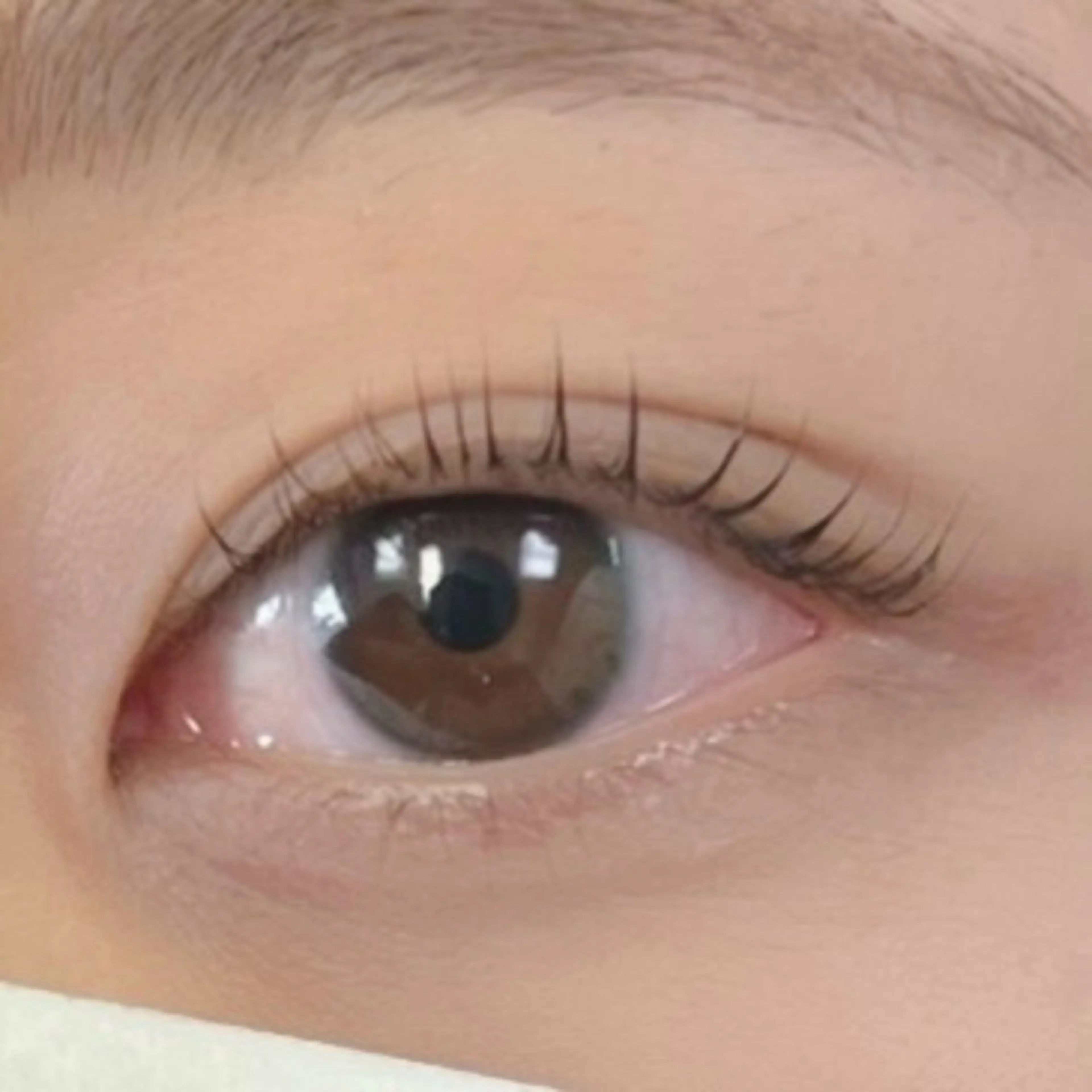 マツエク・マツパ Moe/韓国風/ 束感/キュート❤︎の眉毛・アイブロウイメージ