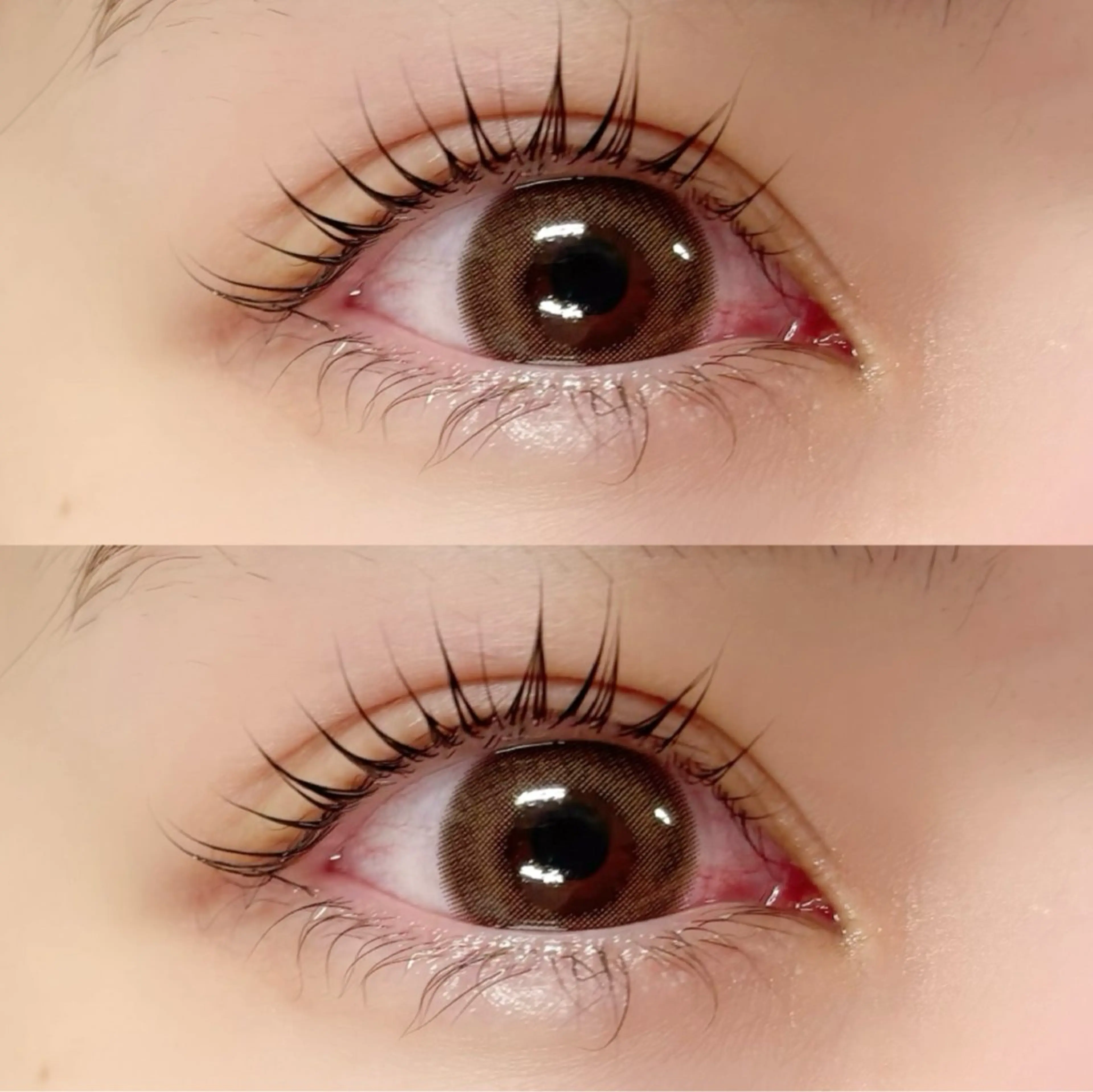 マツエク・マツパ daisy天王寺 松山のマツエク・マツパデザイン