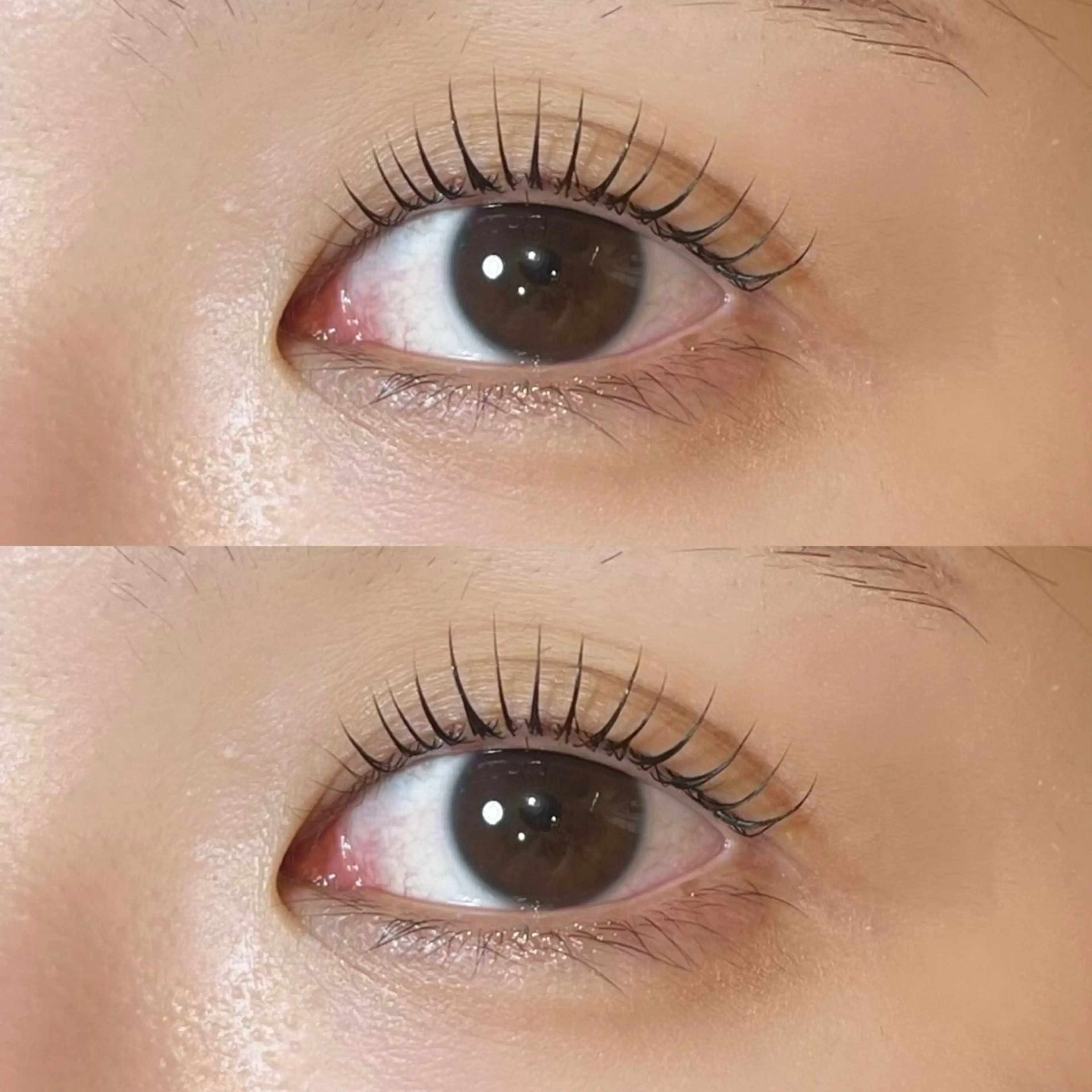 マツエク・マツパ 𝒆𝒊𝒈𝒉𝒕 杏花のマツエク・マツパデザイン