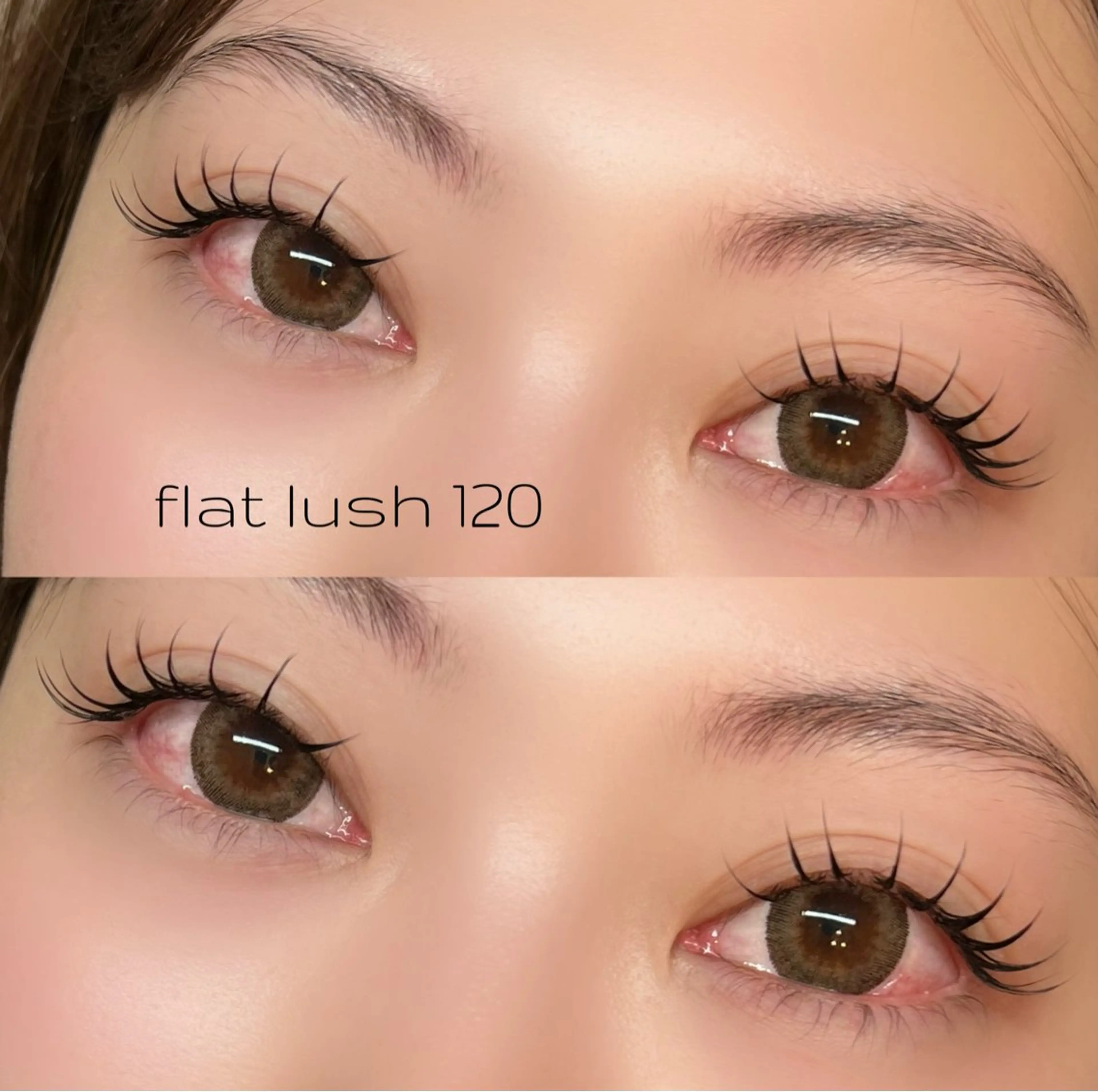 ９日9.00​〜​15.30限定✨LED120本(オフ可能の写真