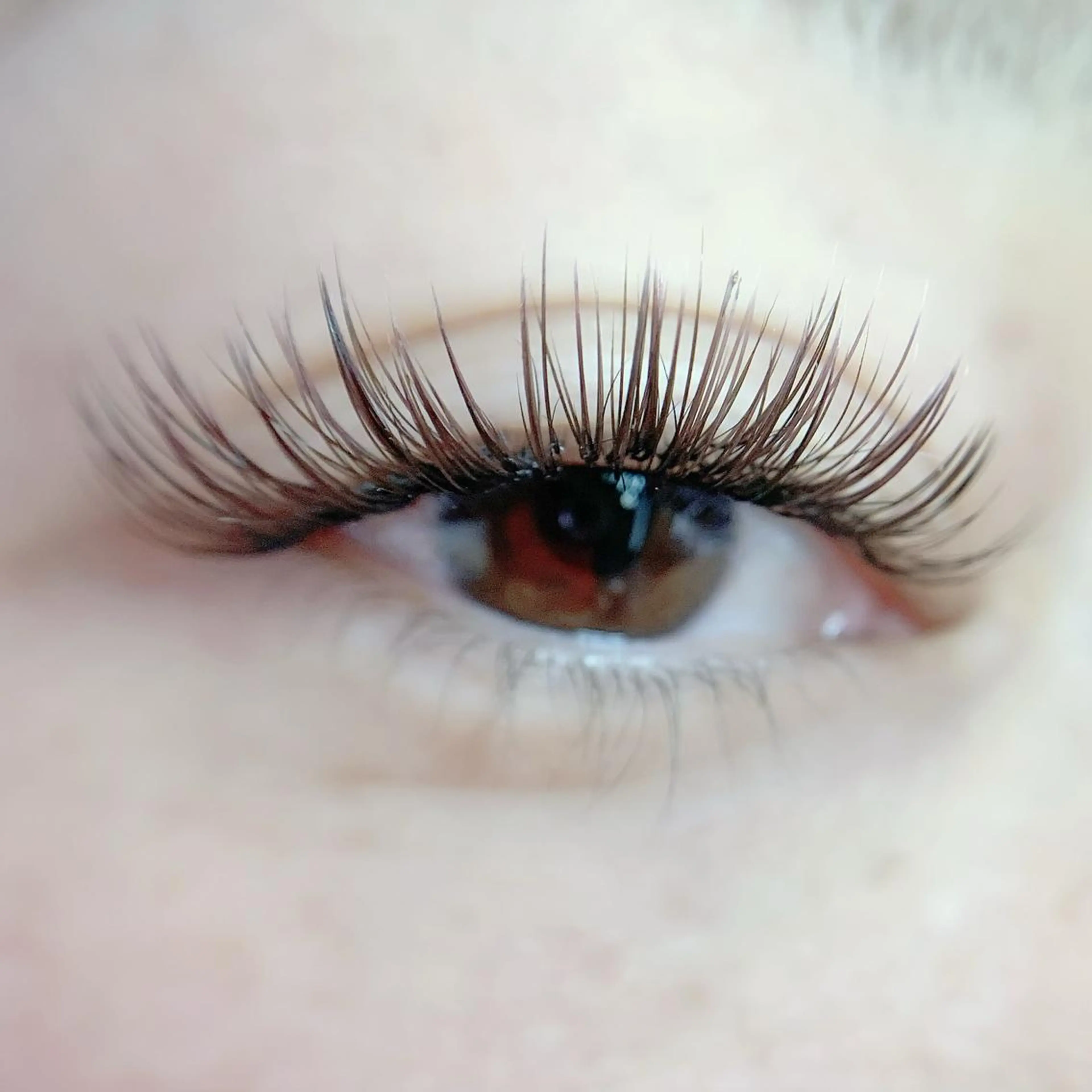 フラットラッシュ付け放題の写真