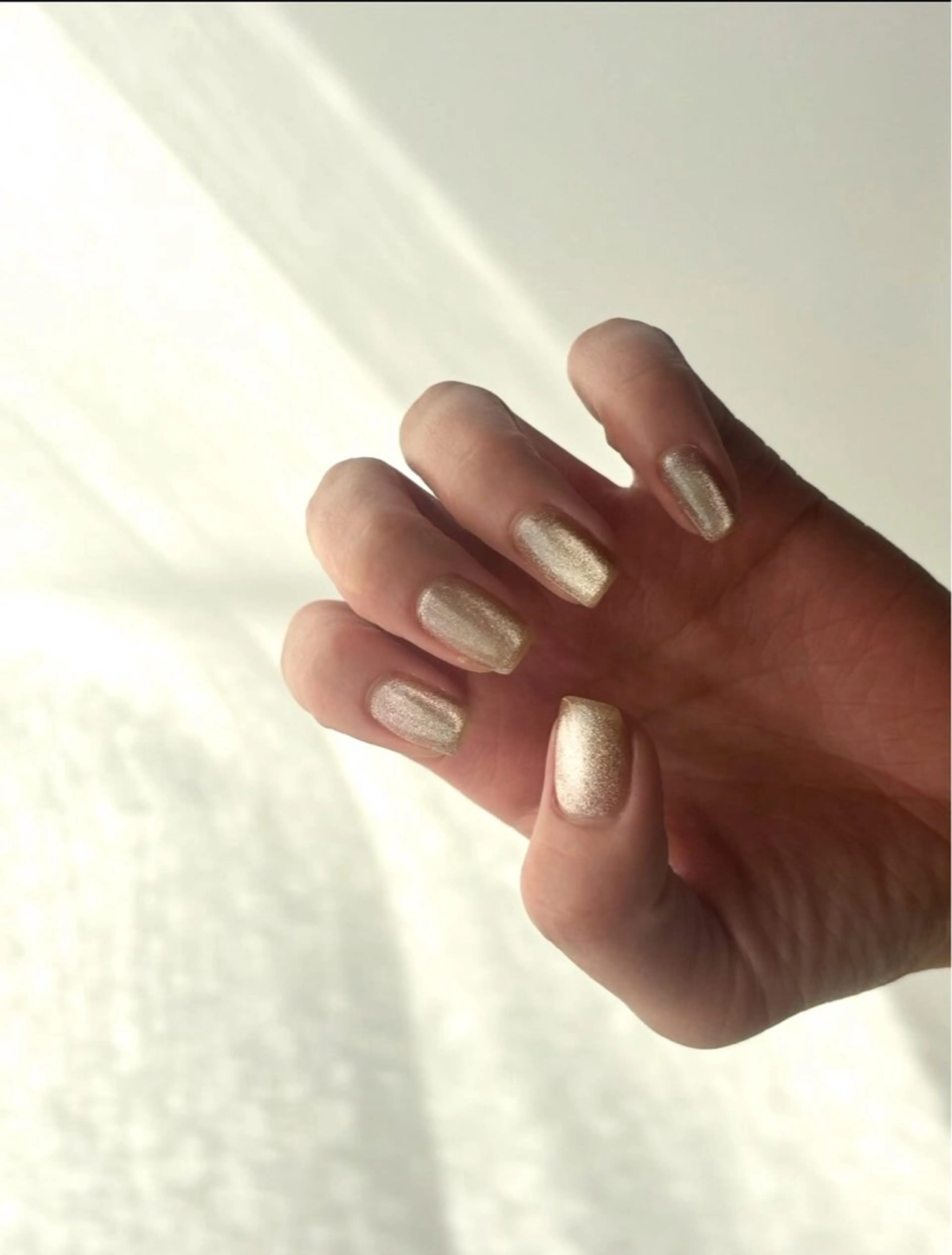 ネイル ブラウン ニュアンスネイル ハンドネイル Elio所属・Elio 国泰寺のネイルデザイン