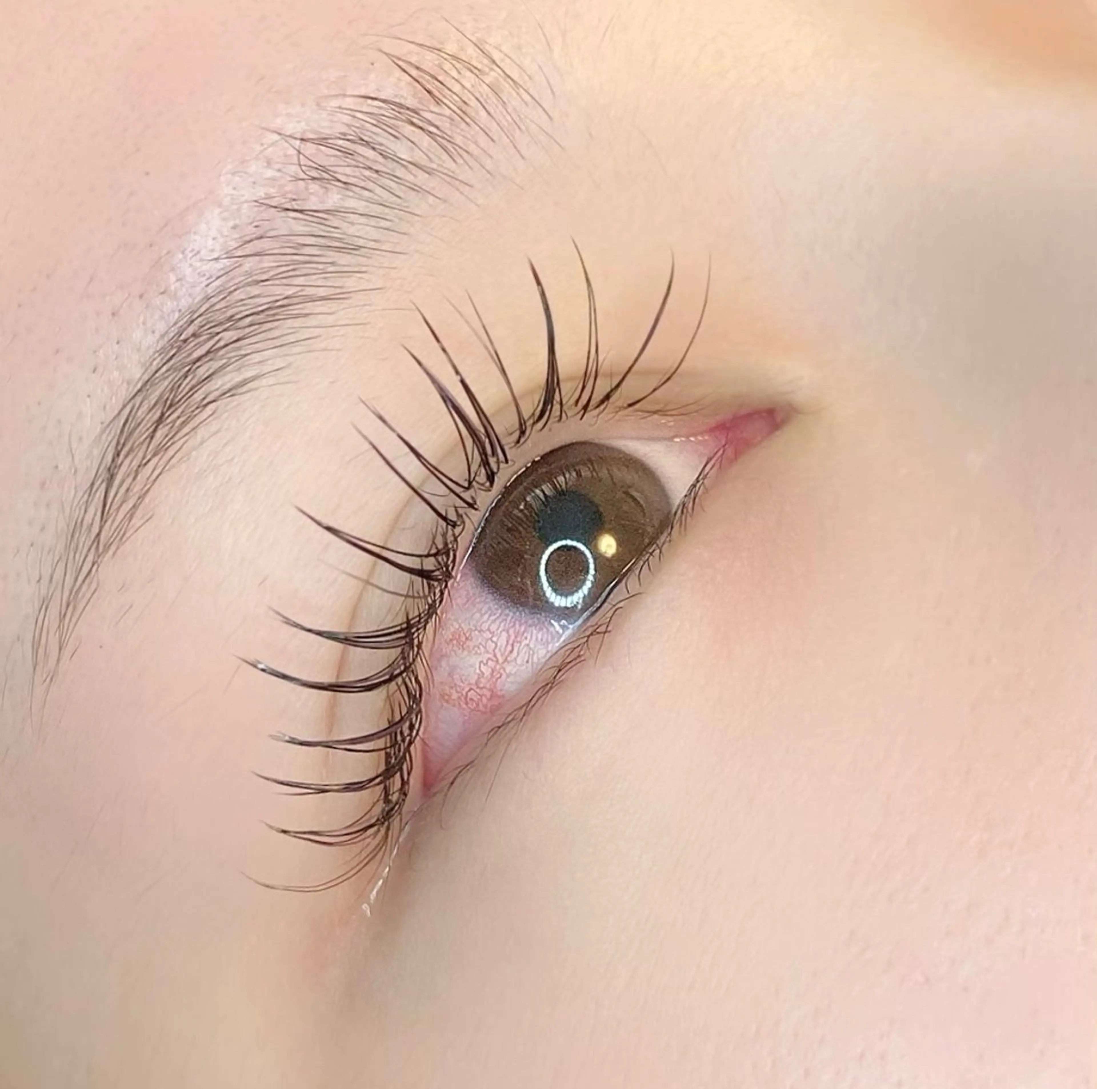 フラットラッシュ80本の写真