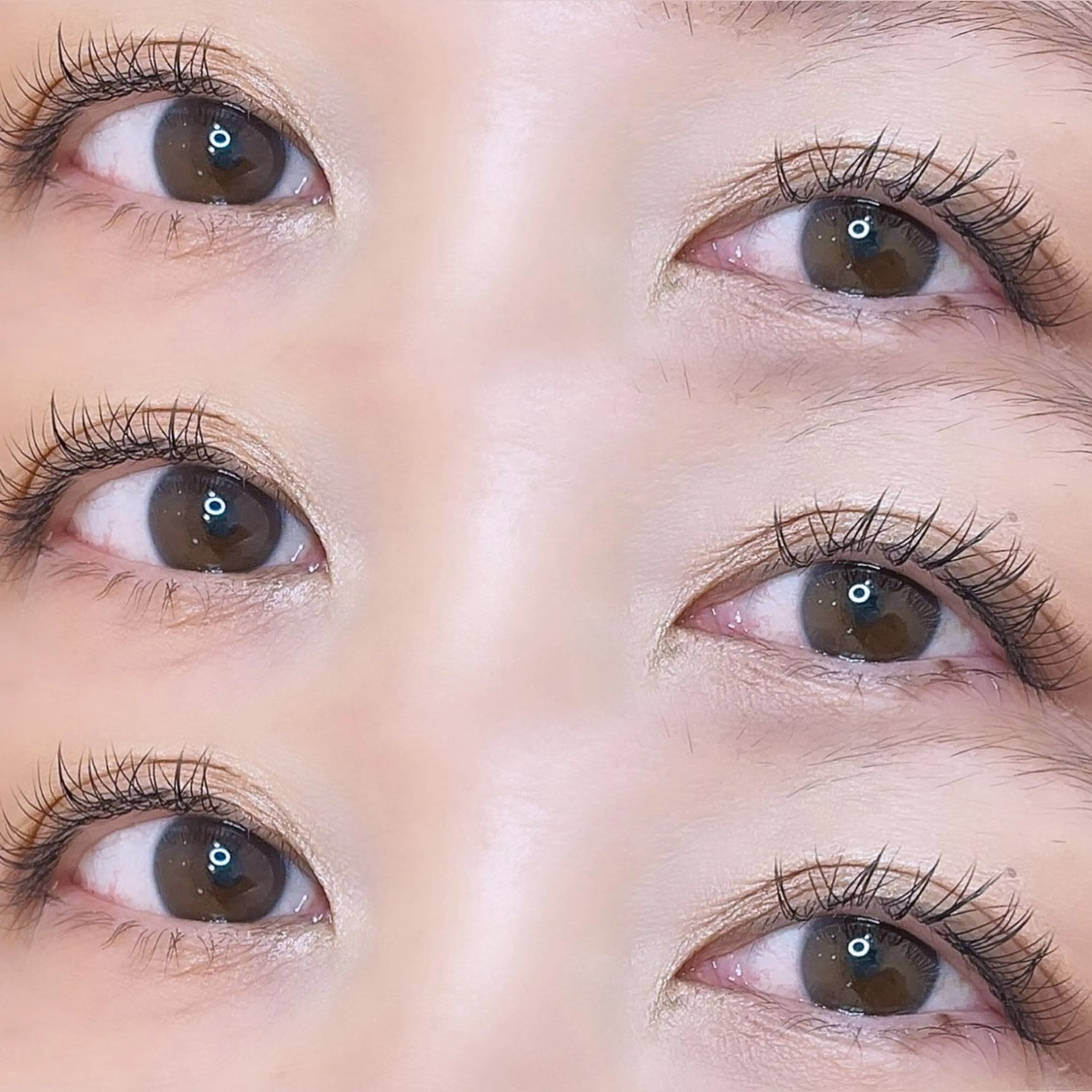 マツエク・マツパ chiyori天王寺 🎀韓国風束感まつげのマツエク・マツパデザイン