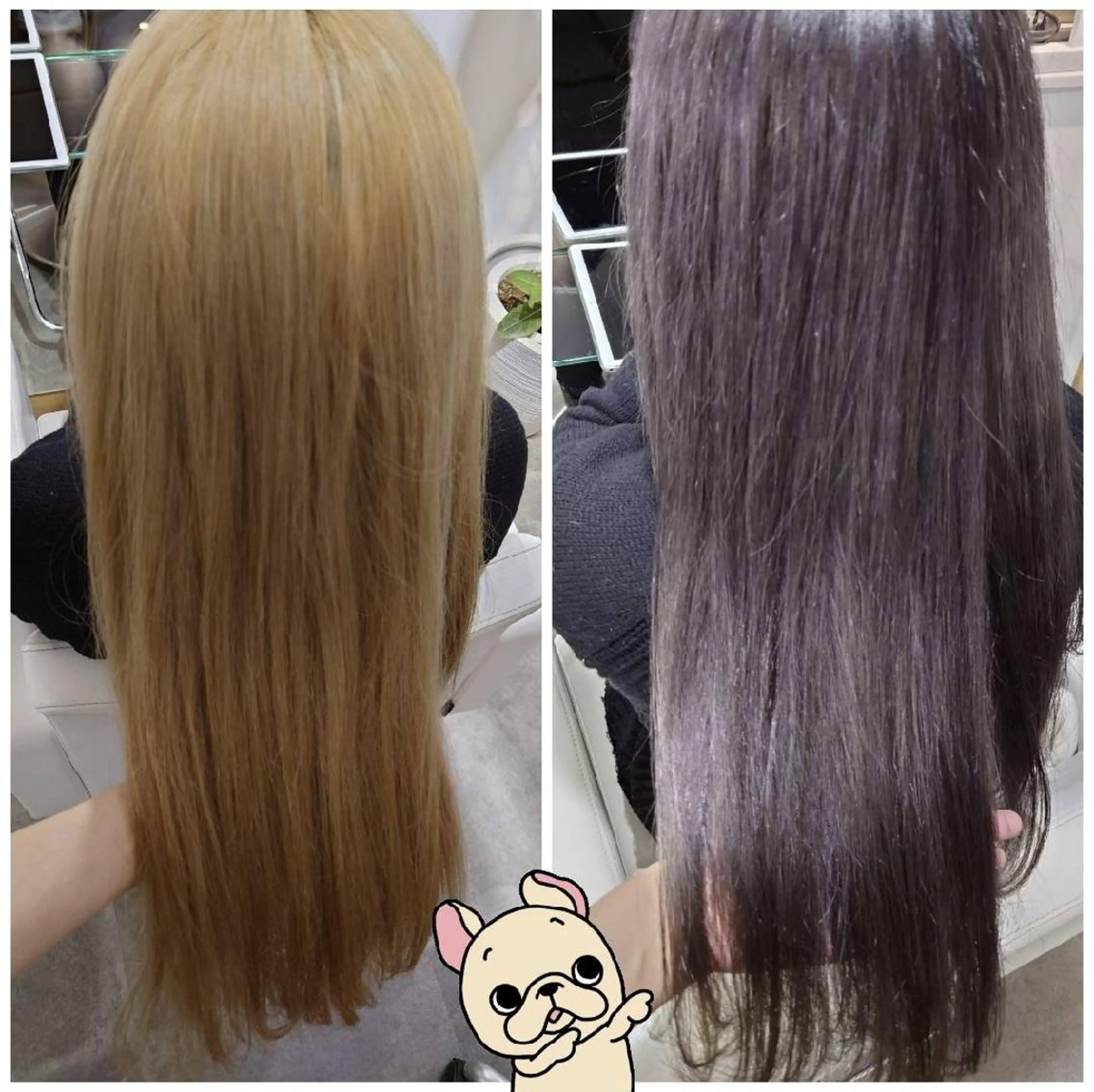 セミロング カラー ヘアアレンジ アディクシーカラー ブリーチ ハイトーンカラー シルバー トリートメント ヘアカラー トリートメント かわい ゆうな 髪質改善/縮毛矯正のヘアスタイル