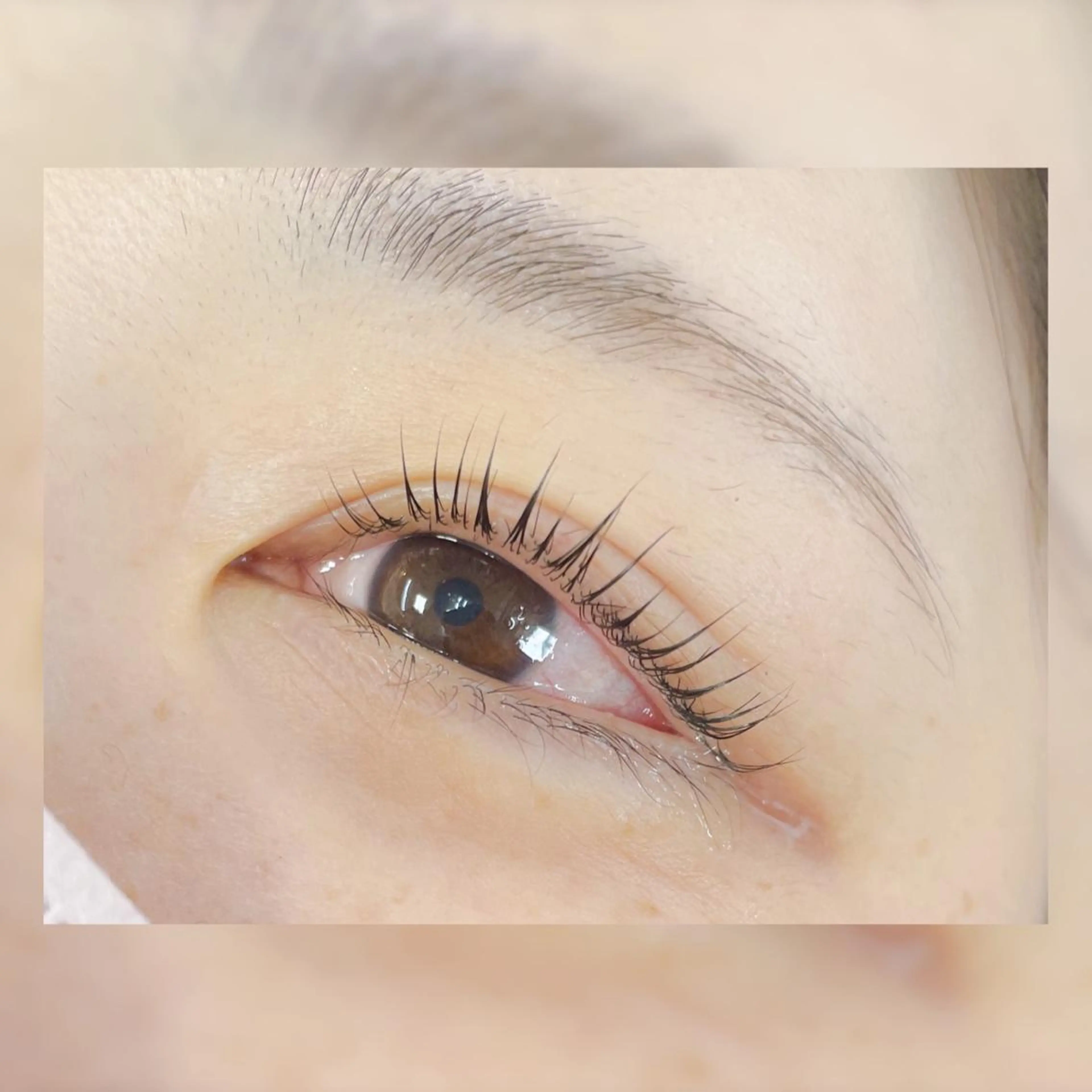 マツエク・マツパ パリジェンヌラッシュリフト Natural Eyebrow 東松戸店所属・金山 💐のマツエク・マツパデザイン