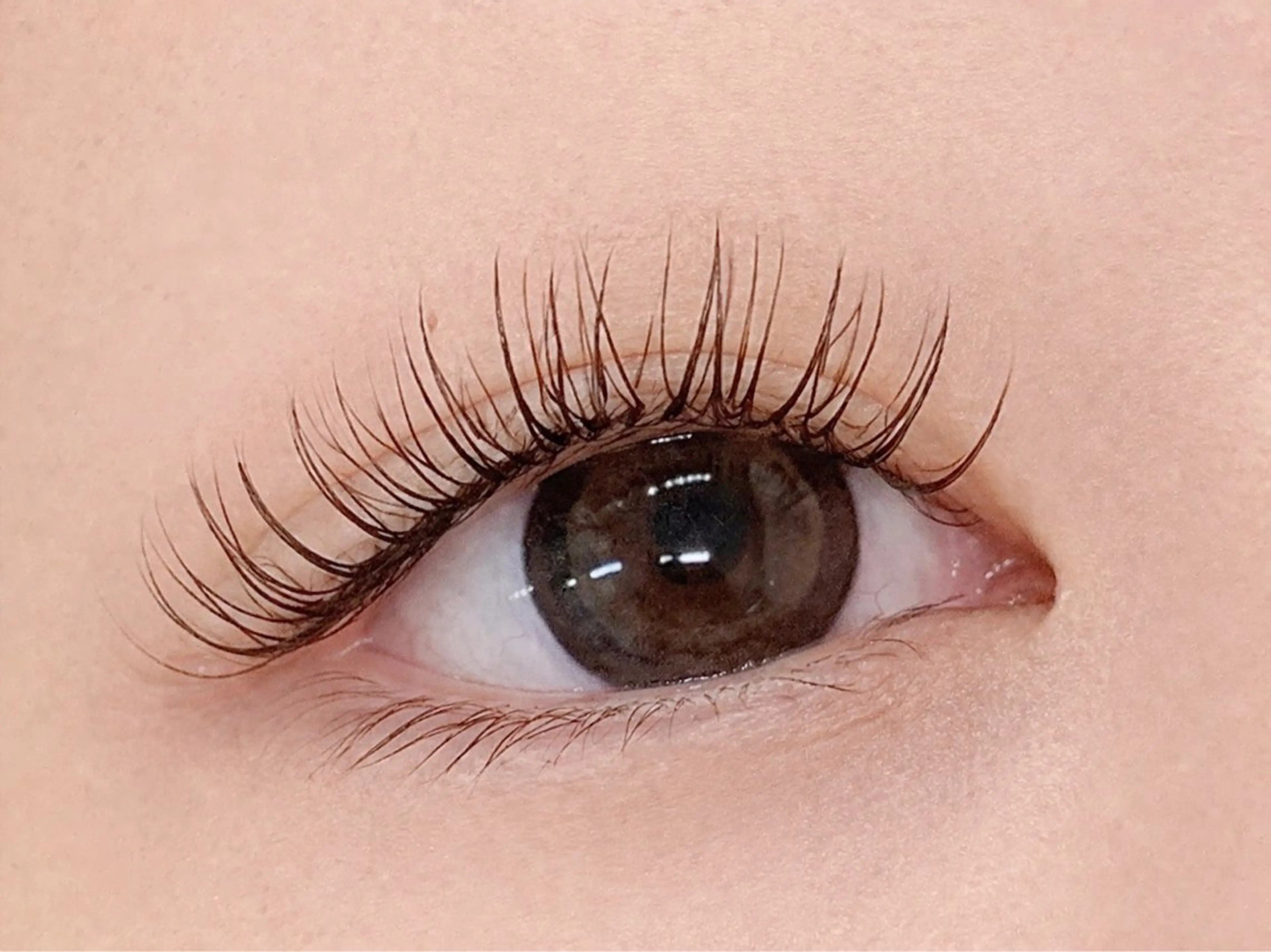 マツエク・マツパ Lil by Fan. 菊池のマツエク・マツパデザイン