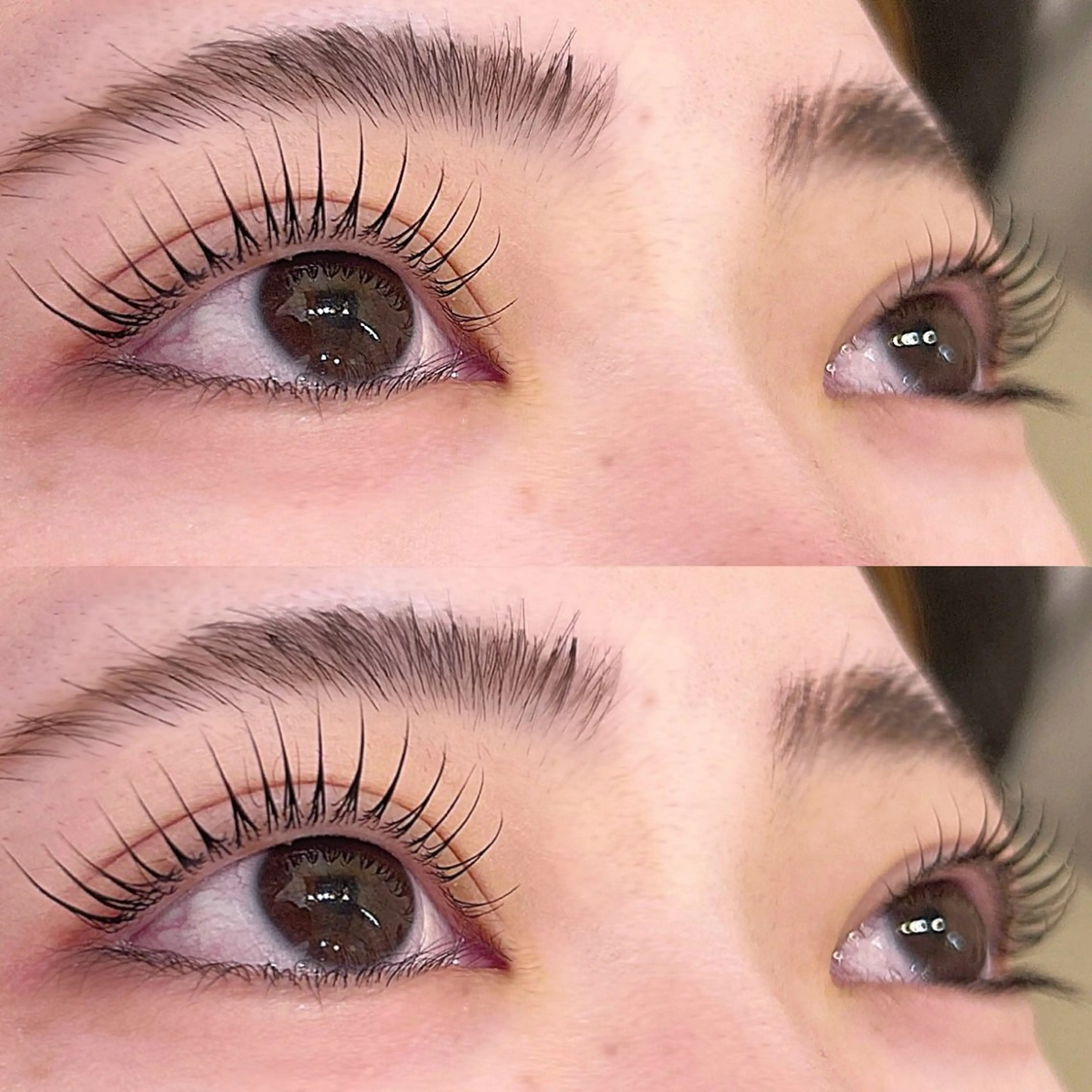 次世代まつ毛パーマ＋トリートメント🫧‪(コーティング付き)の写真