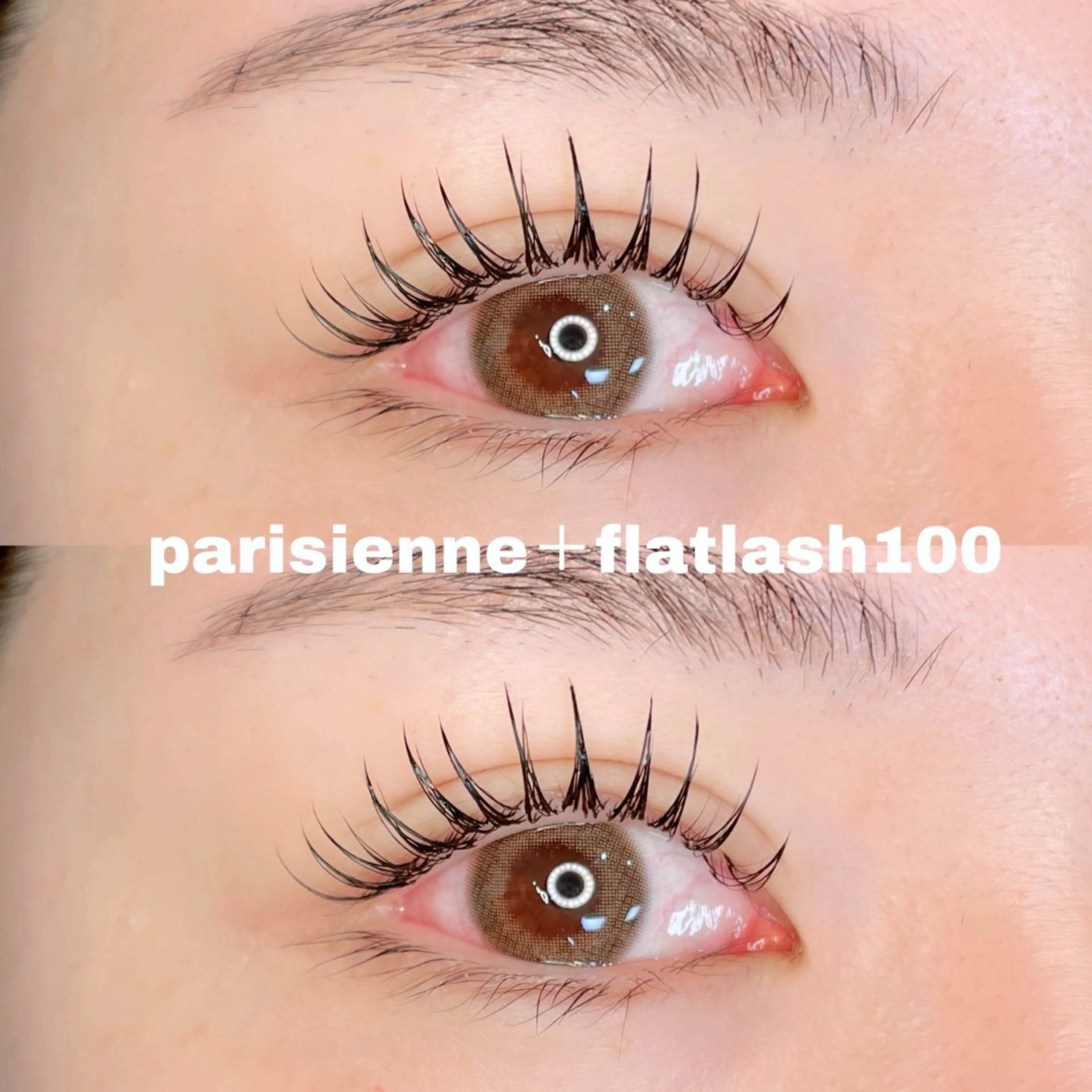 マツエク・マツパ マツエク パリジェンヌ/美眉 OLIVIA加藤のマツエク・マツパデザイン