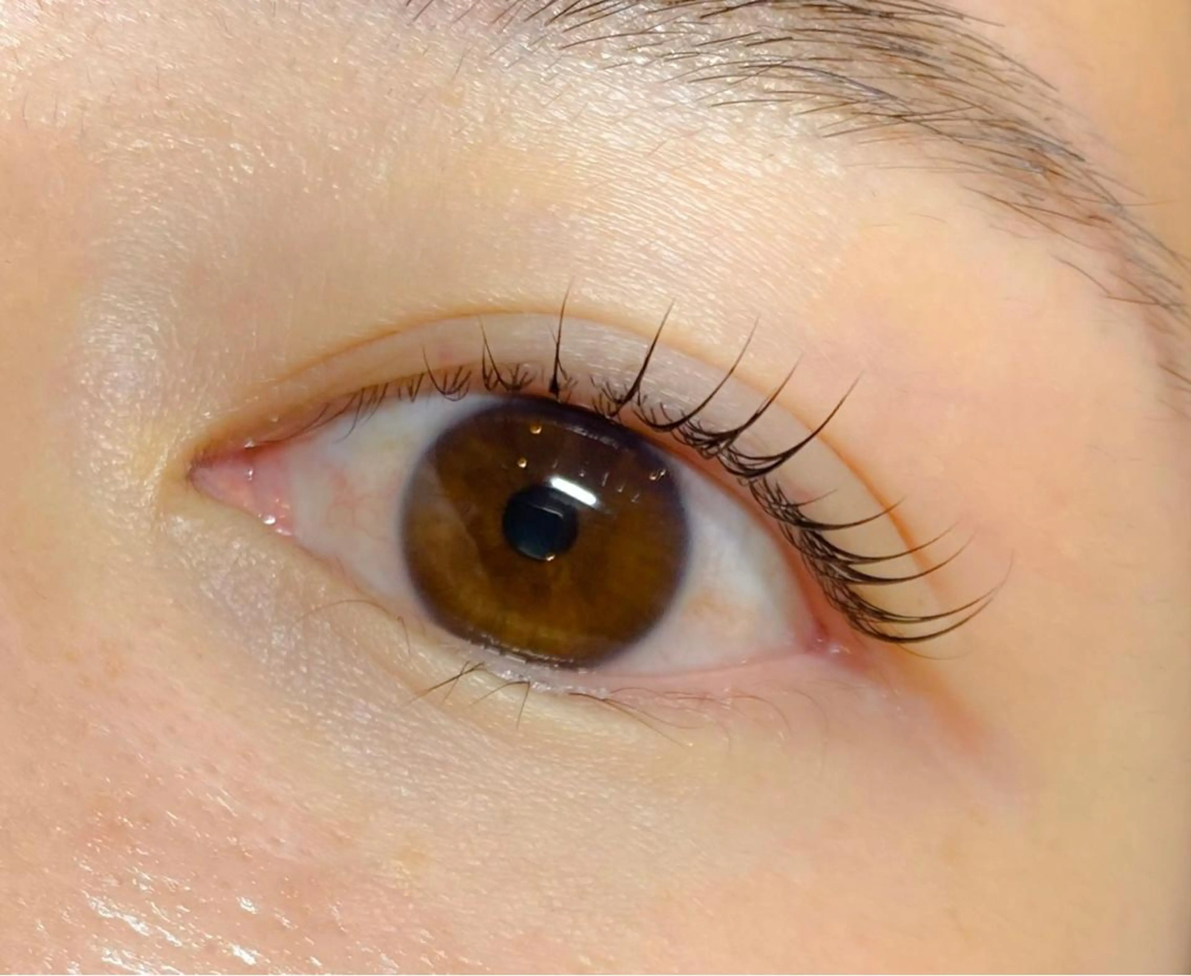 マツエク・マツパ まつ毛パーマまつエク 緑が丘徒歩1分/松田のマツエク・マツパデザイン