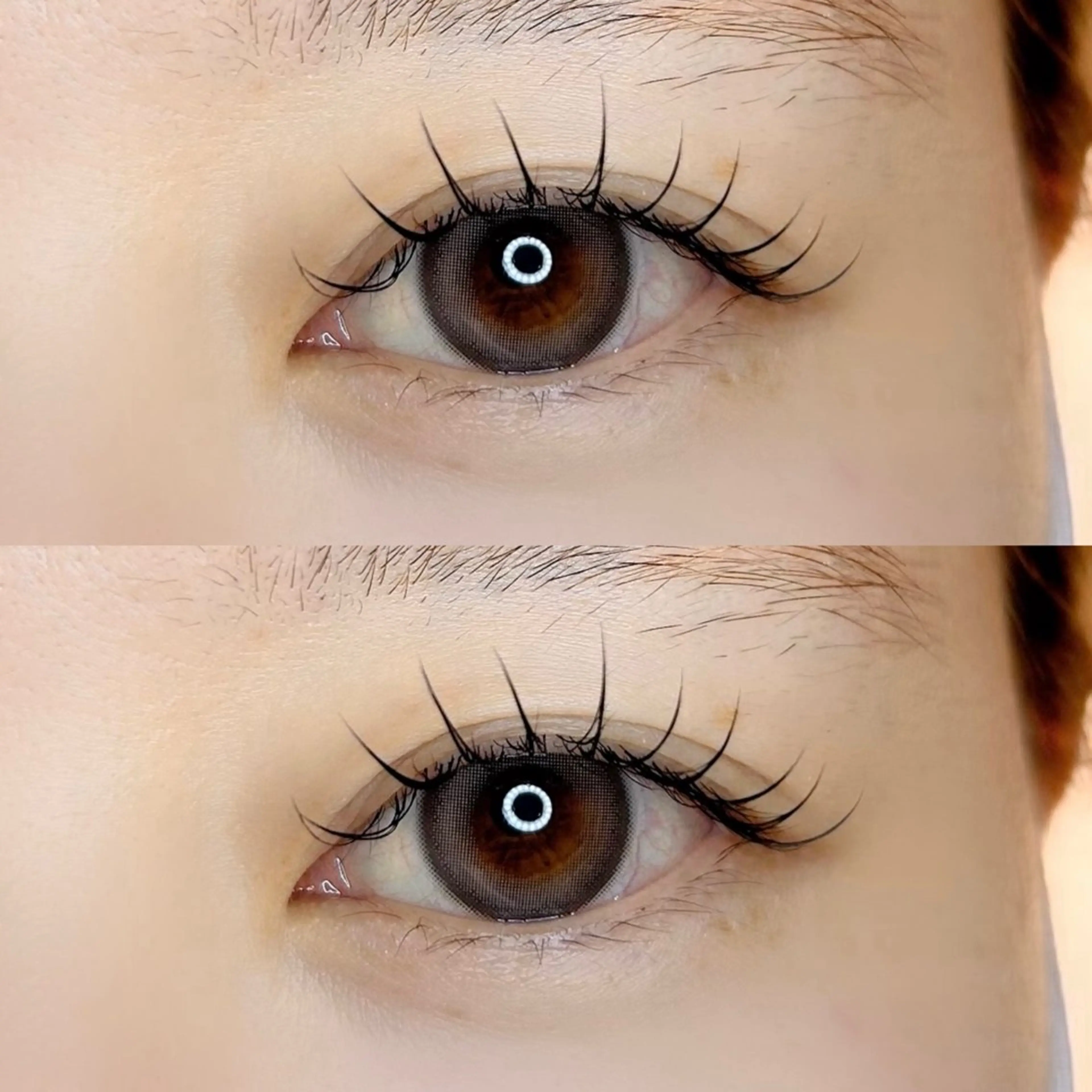 マツエク・マツパ フラットラッシュ Lowen 野原のマツエク・マツパデザイン