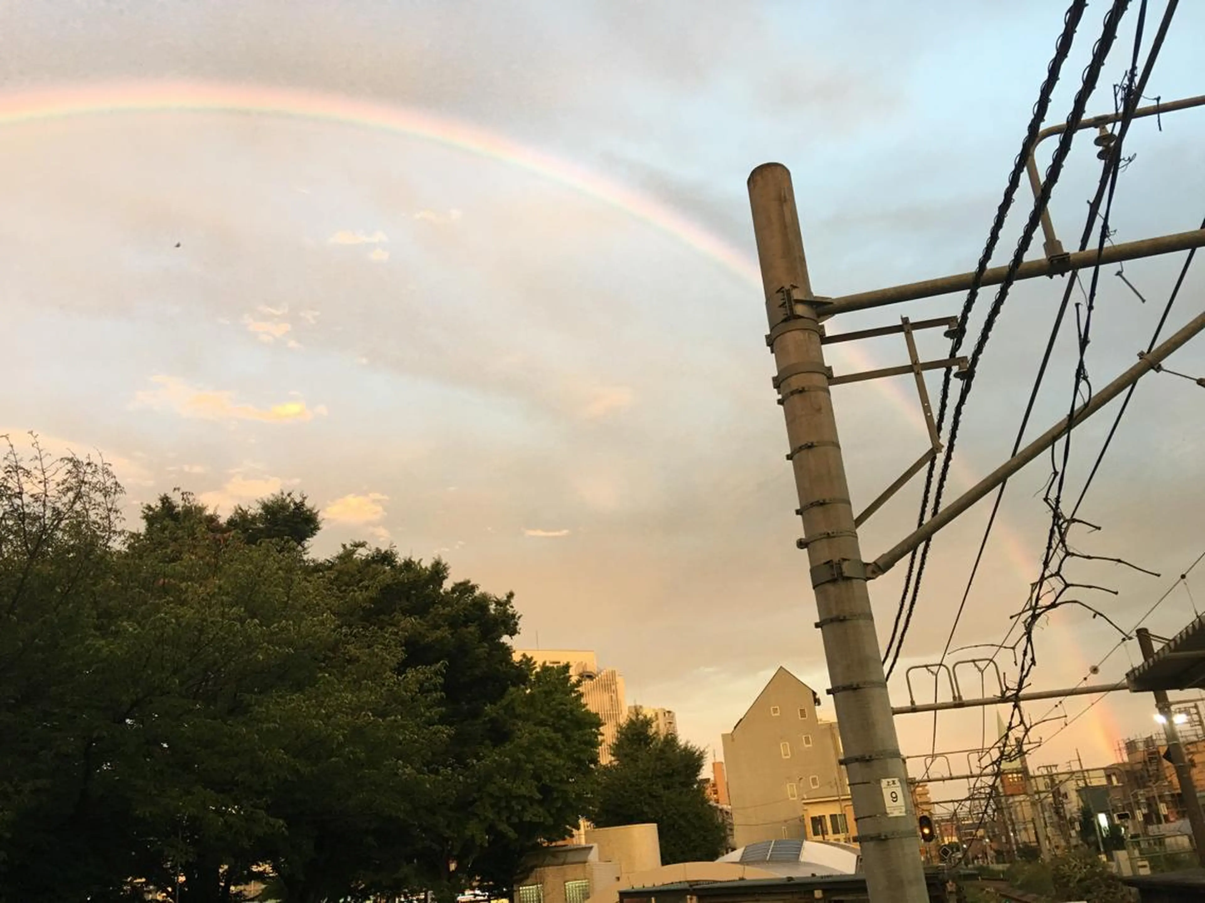 ✨U-topia渡邉 大樹【公認資格有】✨のヘアスタイル