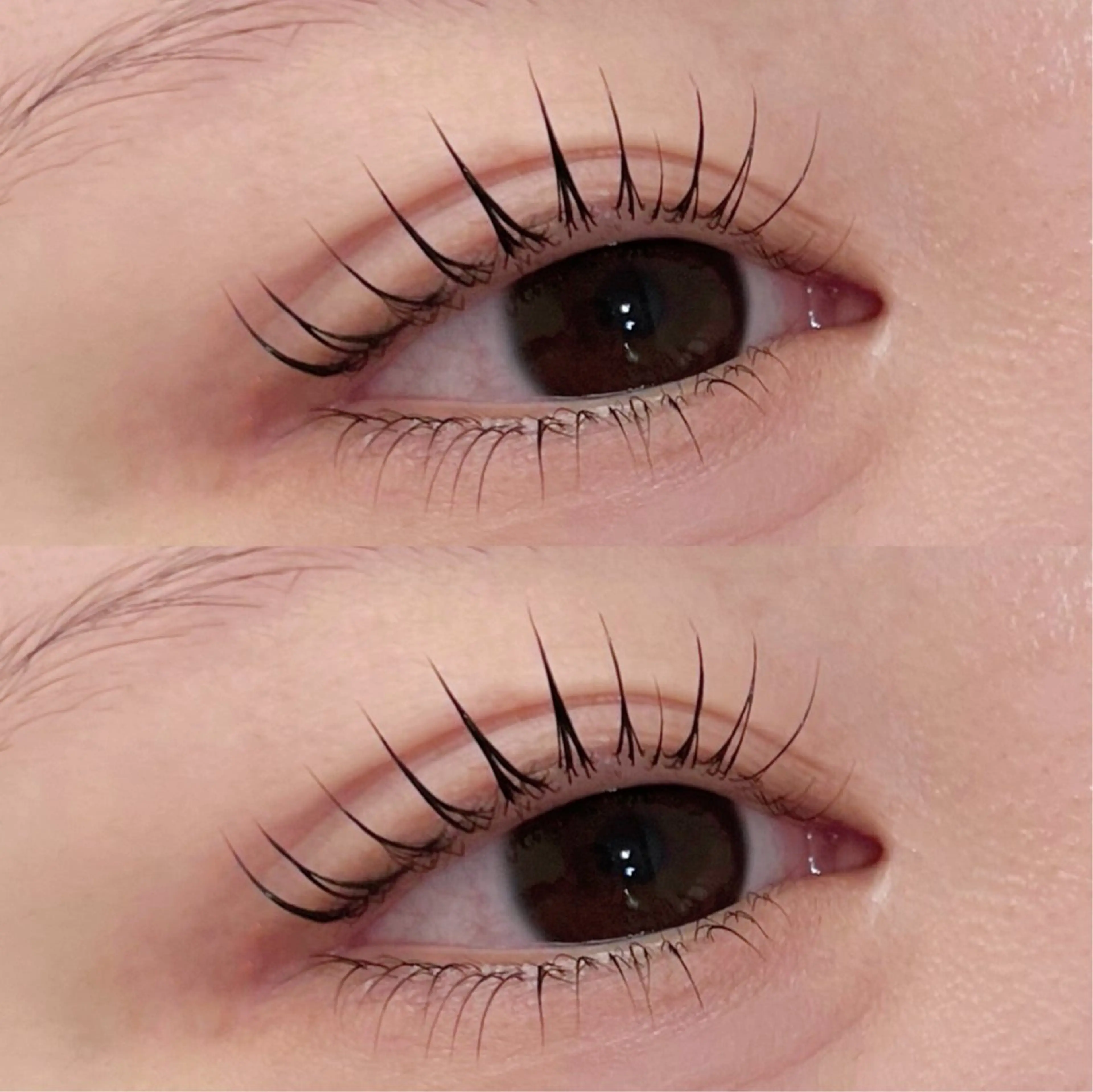 マツエク・マツパ マツパ coco / EYELAのマツエク・マツパデザイン