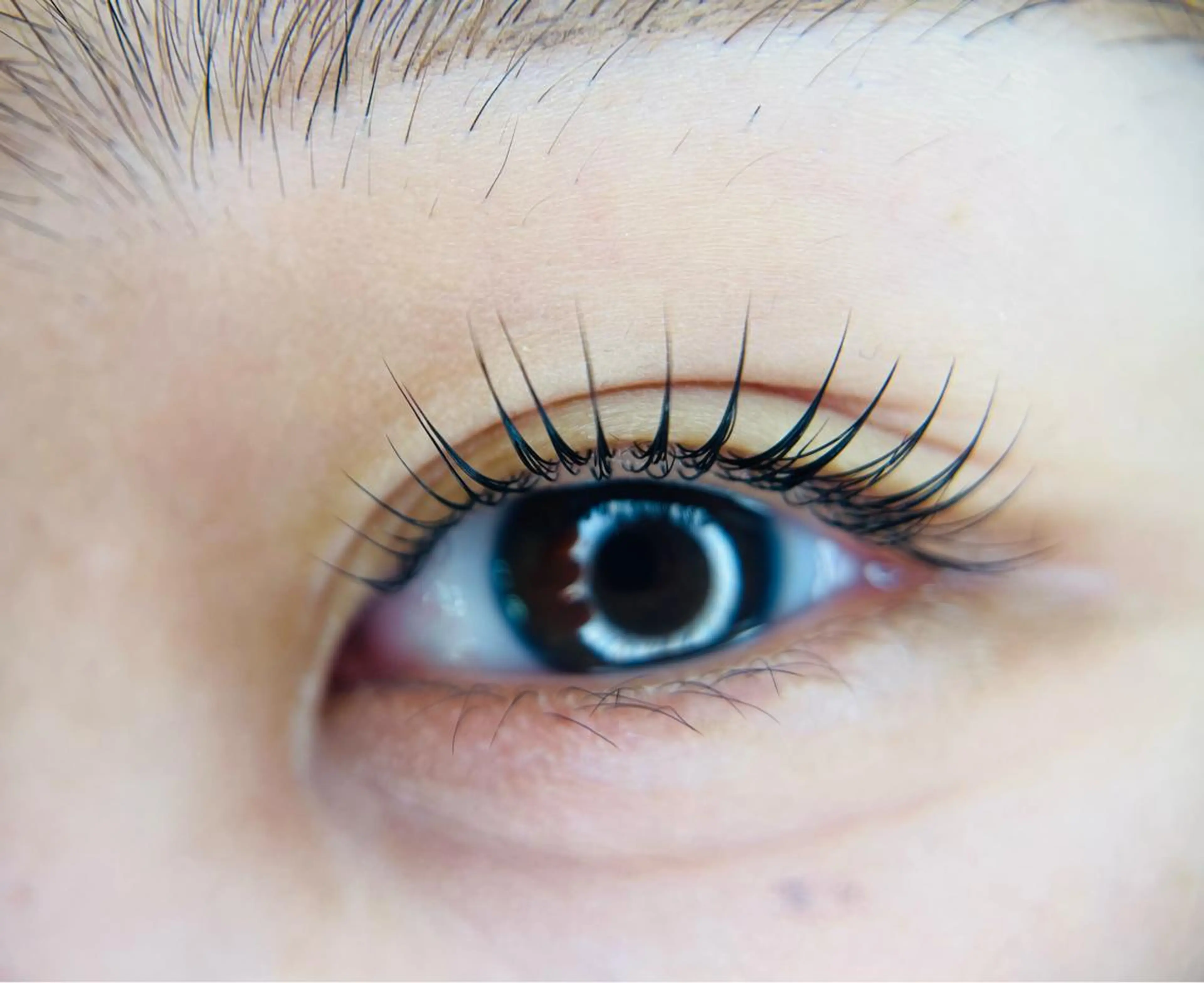 マツエク・マツパ マツパ －Ojiー セナのマツエク・マツパデザイン