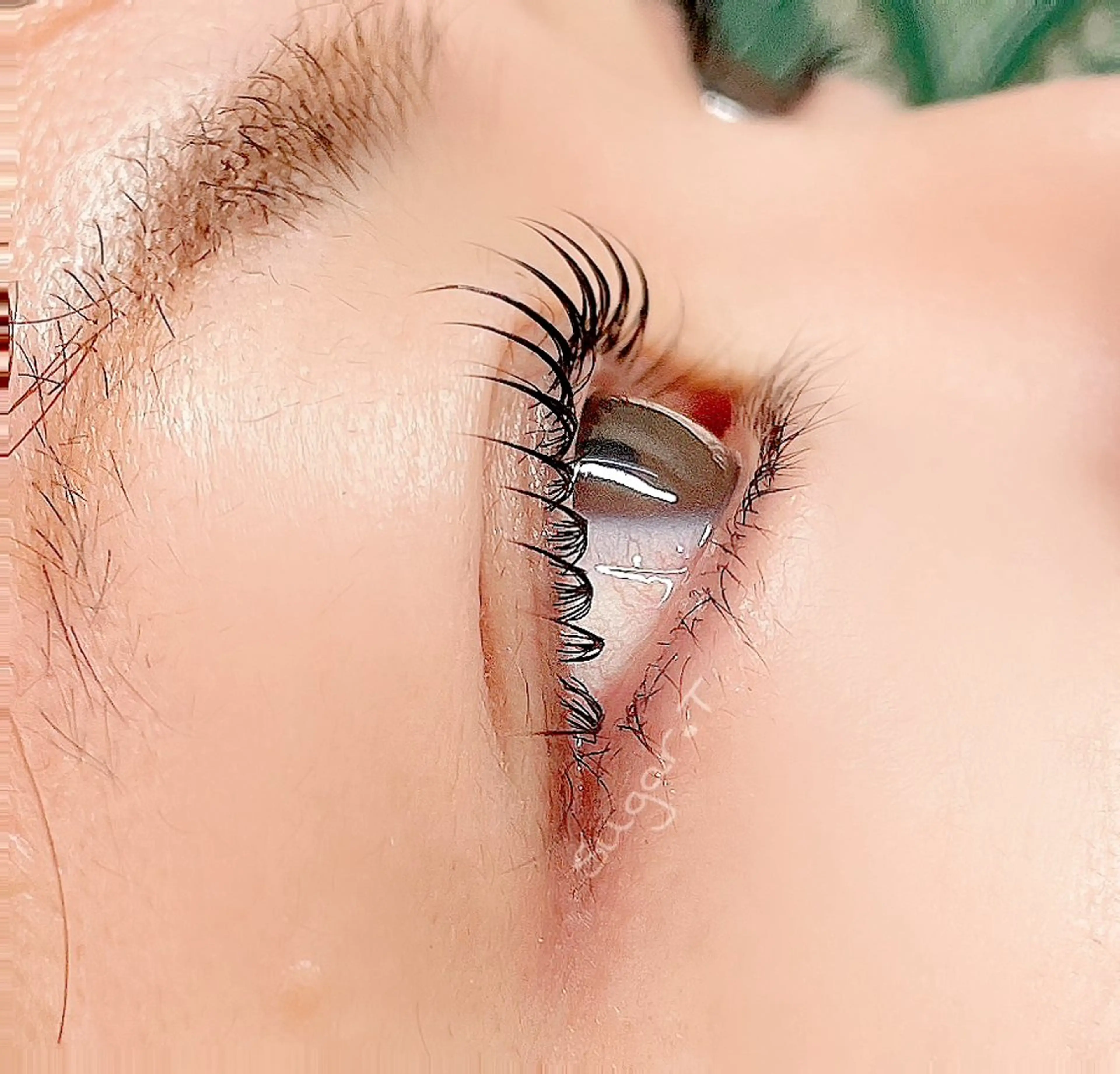 マツエク・マツパ sugar ただのマツエク・マツパデザイン