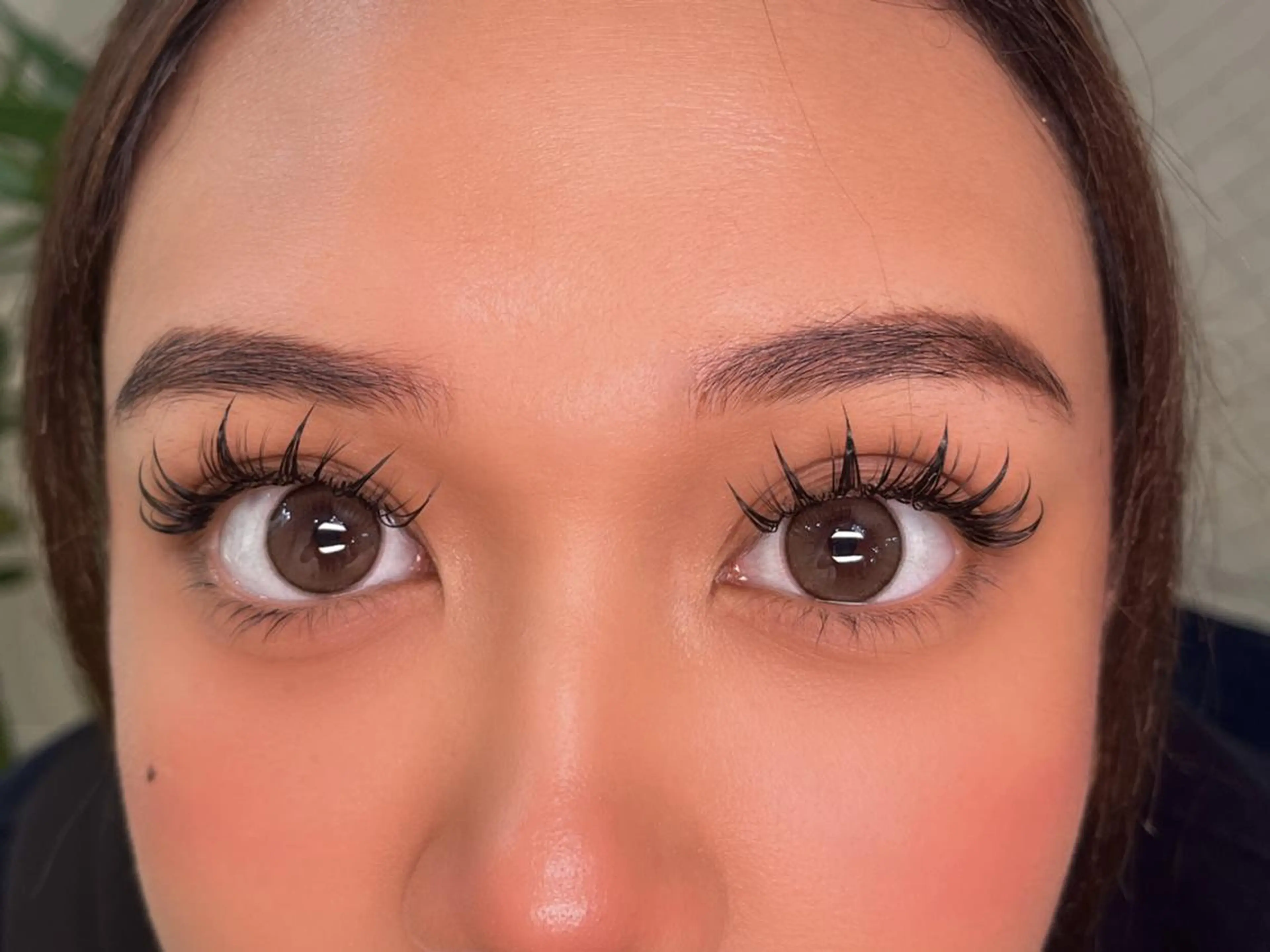 マツエク・マツパ ＫｉＲｉ 🥀　　　　   桐のマツエク・マツパデザイン