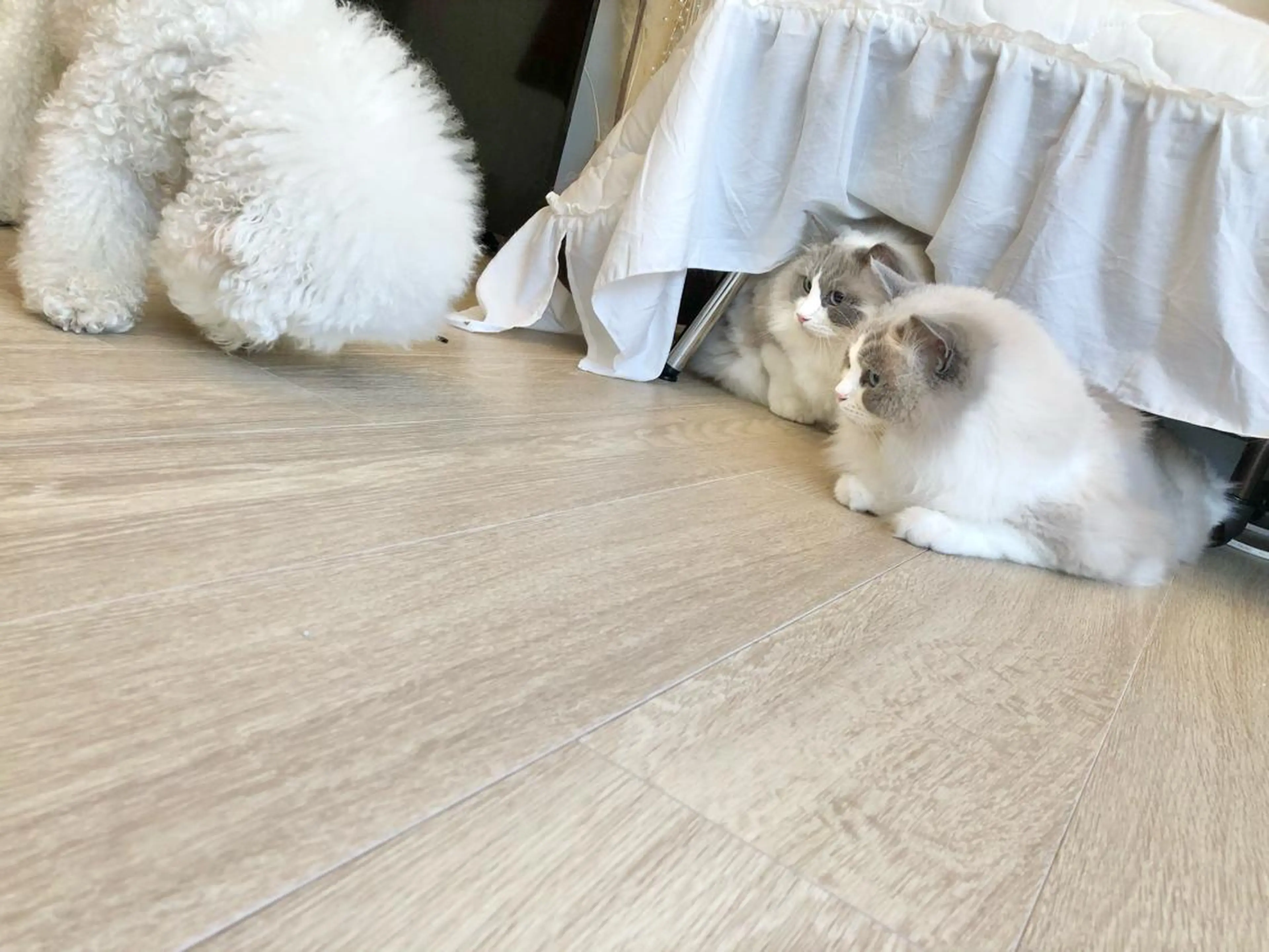 ネイル USAMiMi 🐰💕のネイルデザイン