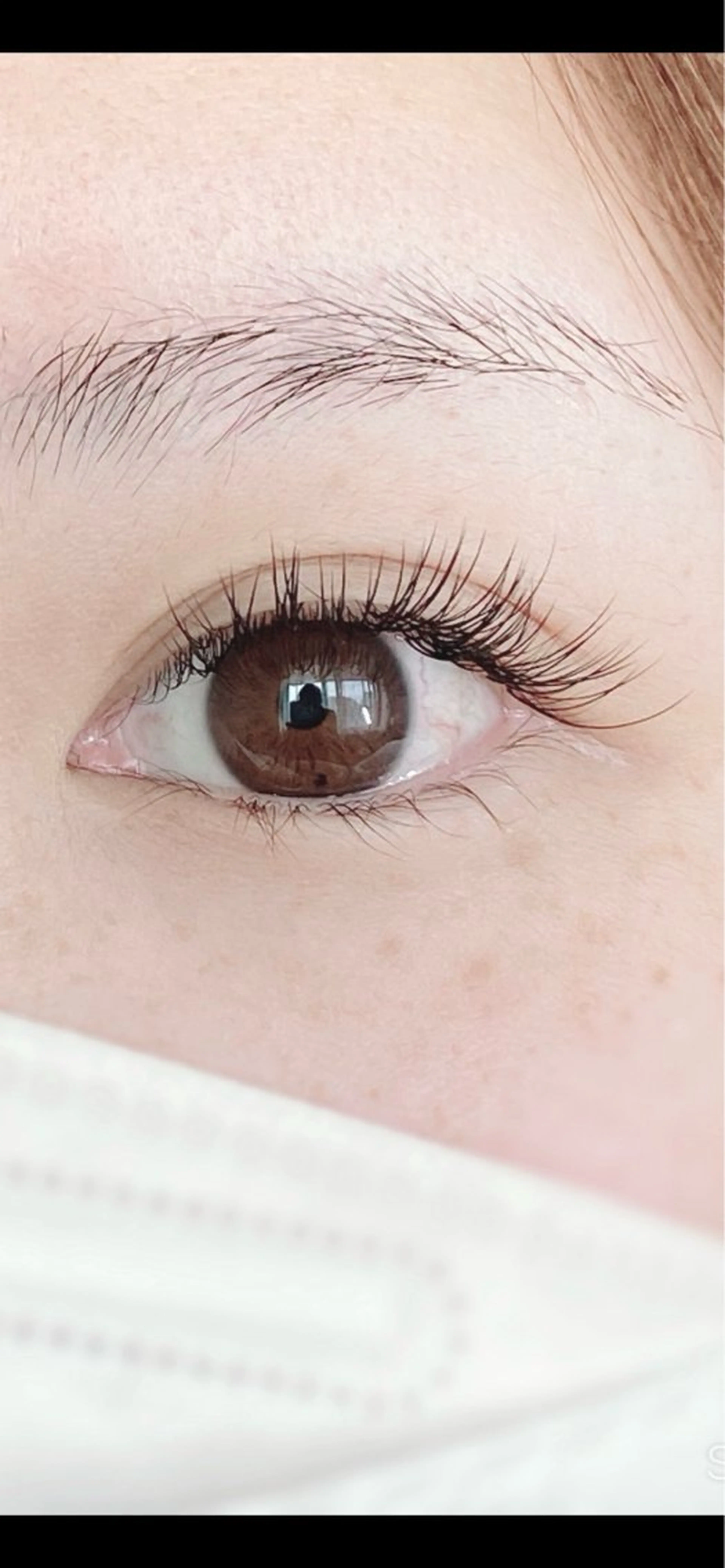 セーブル 100本の写真