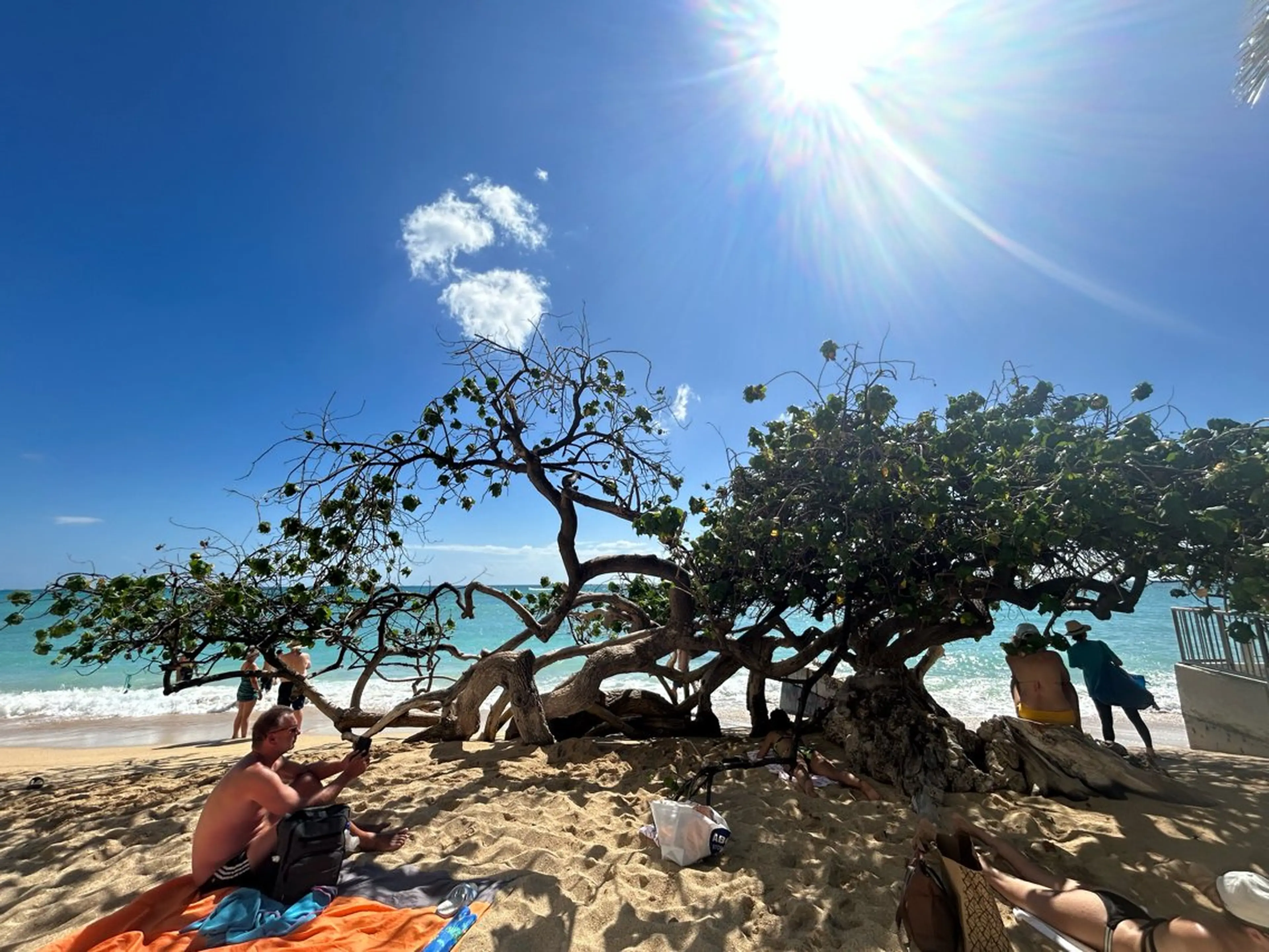 バストアップ専門 おっぱい先生いそのその他イメージ