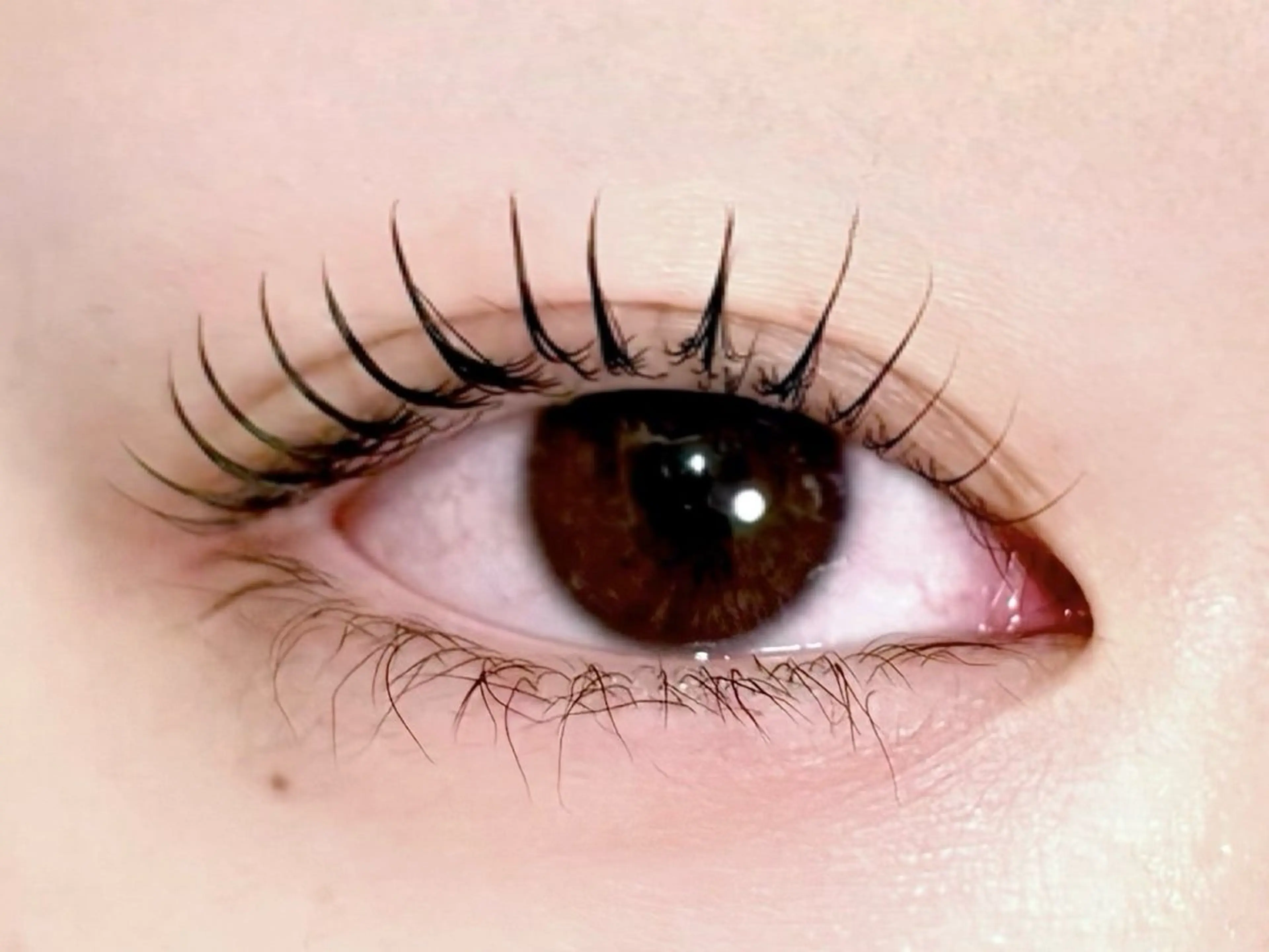 マツエク・マツパ vizz eye lash AOIのマツエク・マツパデザイン