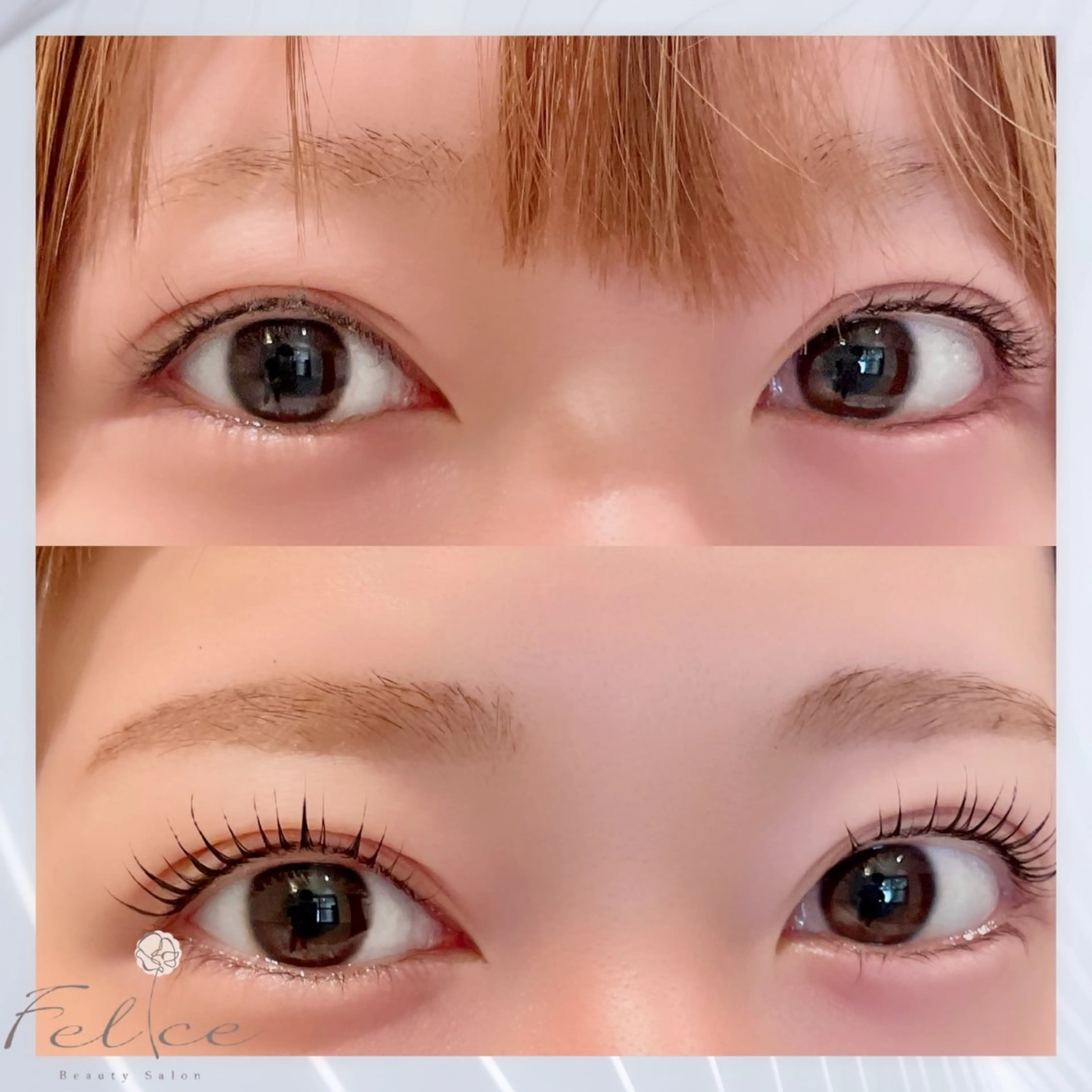 アイブロウ 毛穴ケア✖️まつげ Feliceのマツエク・マツパデザイン