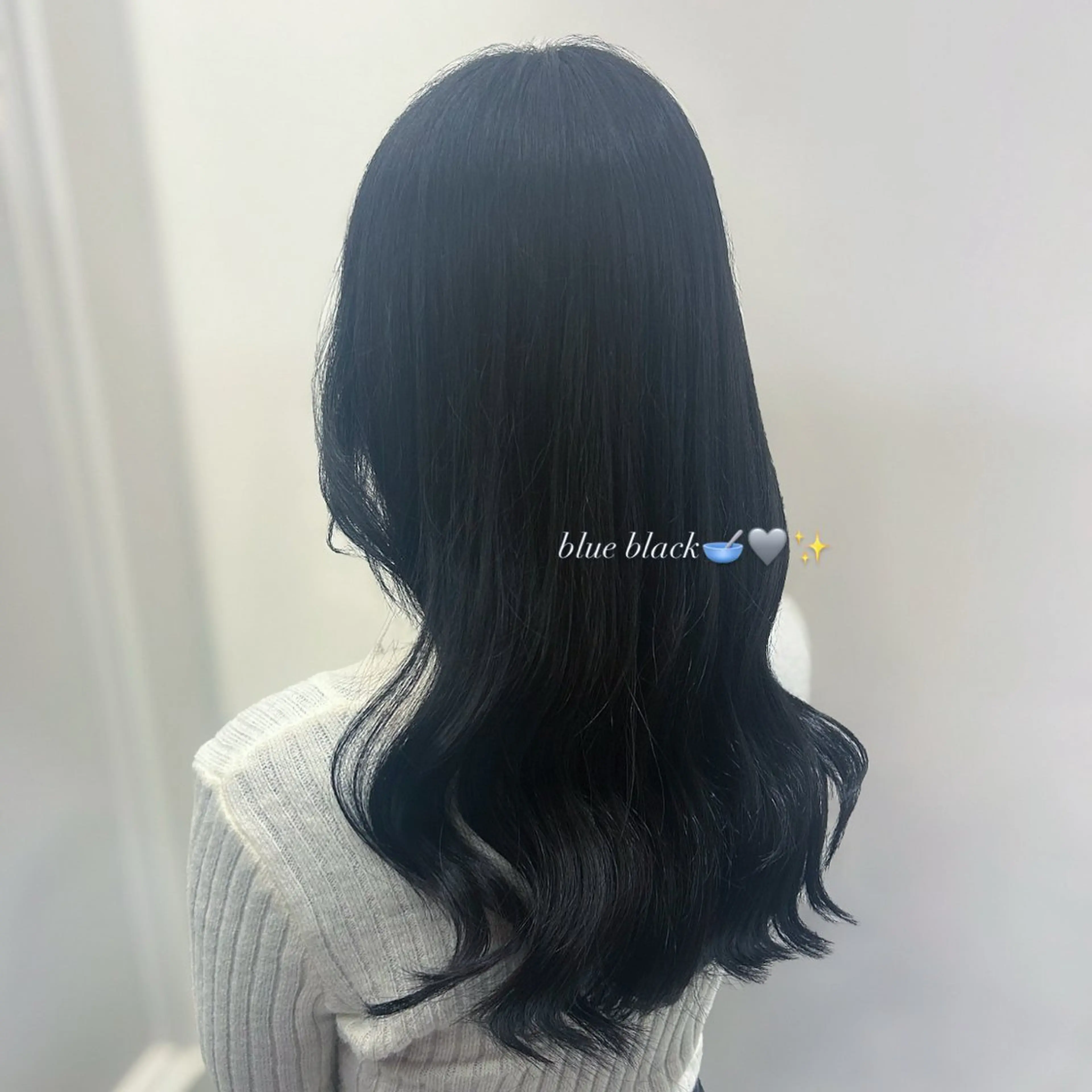 カラー 黒髪 ブルーカラー ブルーブラック 透明感カラー カラーモデル募集中 🎀🐈‍⬛/りりのヘアスタイル