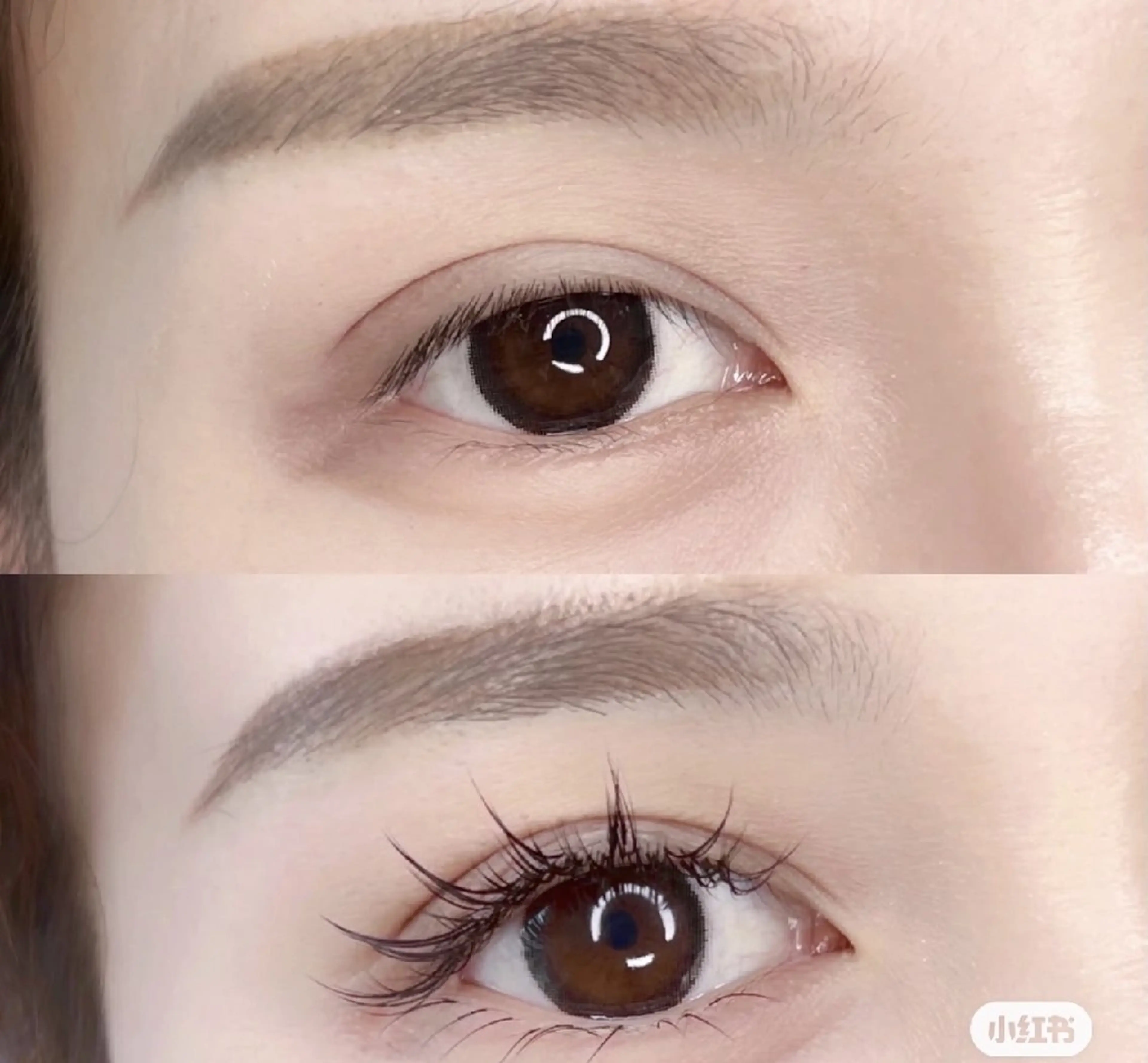 マツエク・マツパ マツエク Tina ✨のマツエク・マツパデザイン