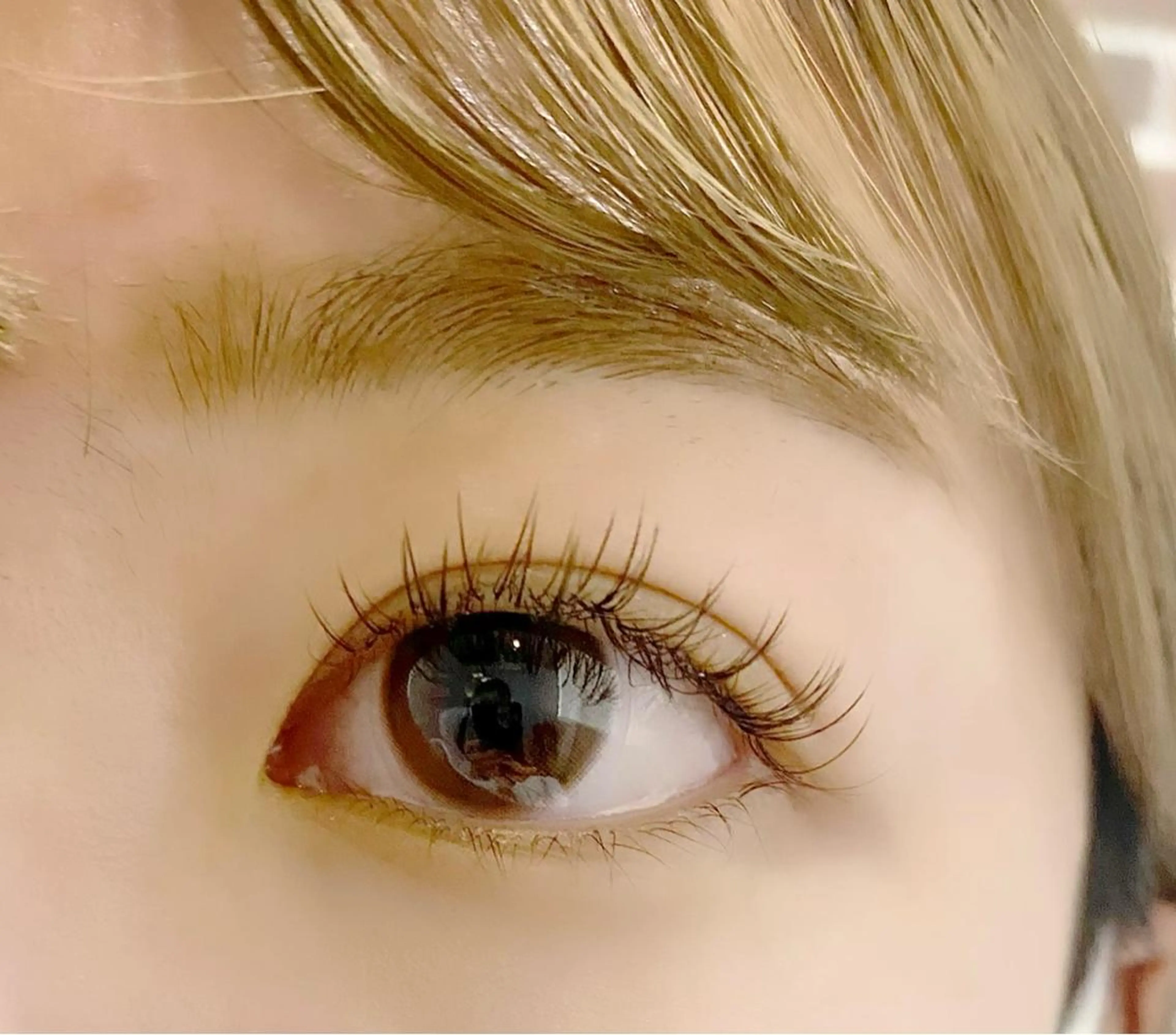 マツエク・マツパ カラーマツエク eyelash "Koa"🕊🤎のマツエク・マツパデザイン