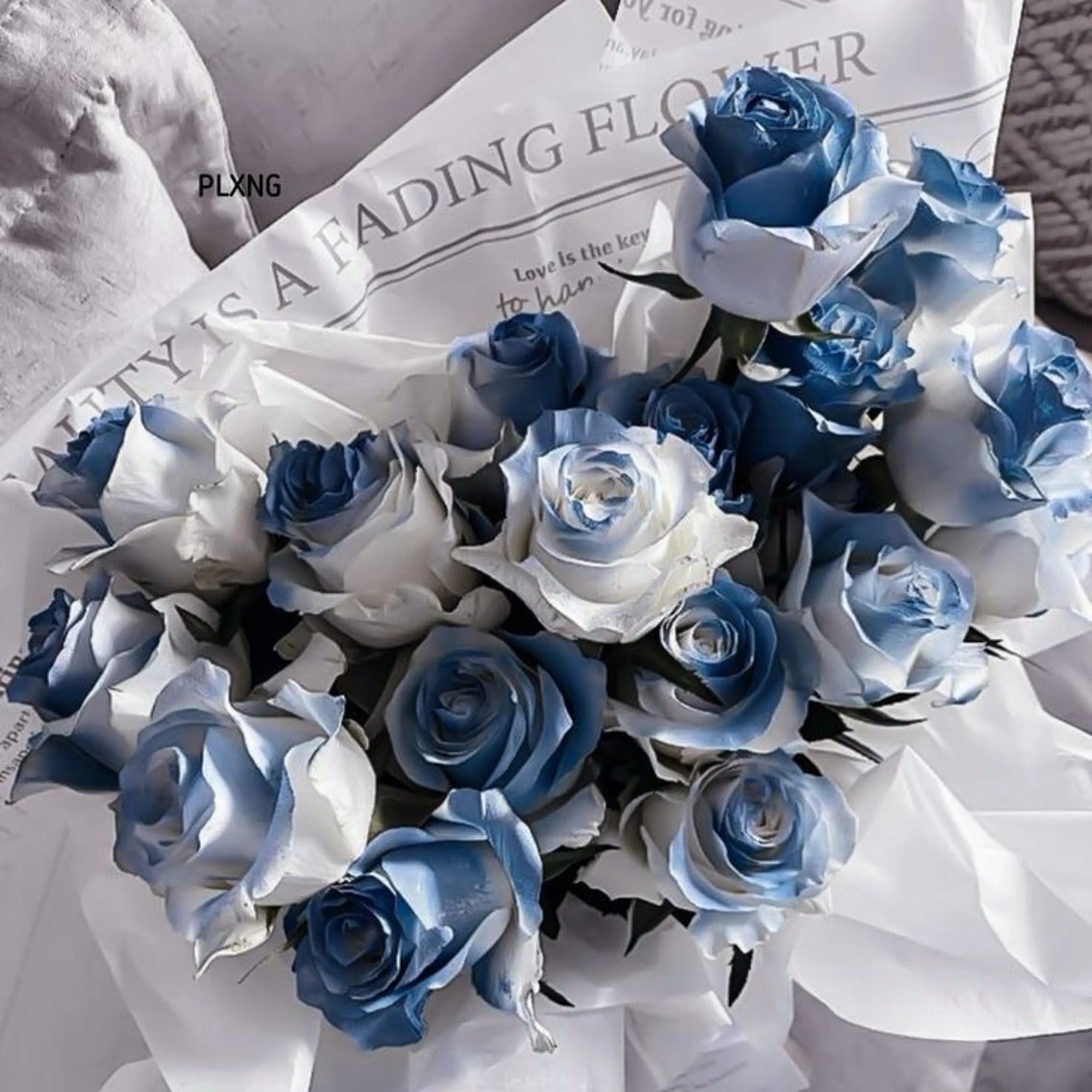 Bianca葛西 Hinano🩶のネイルデザイン