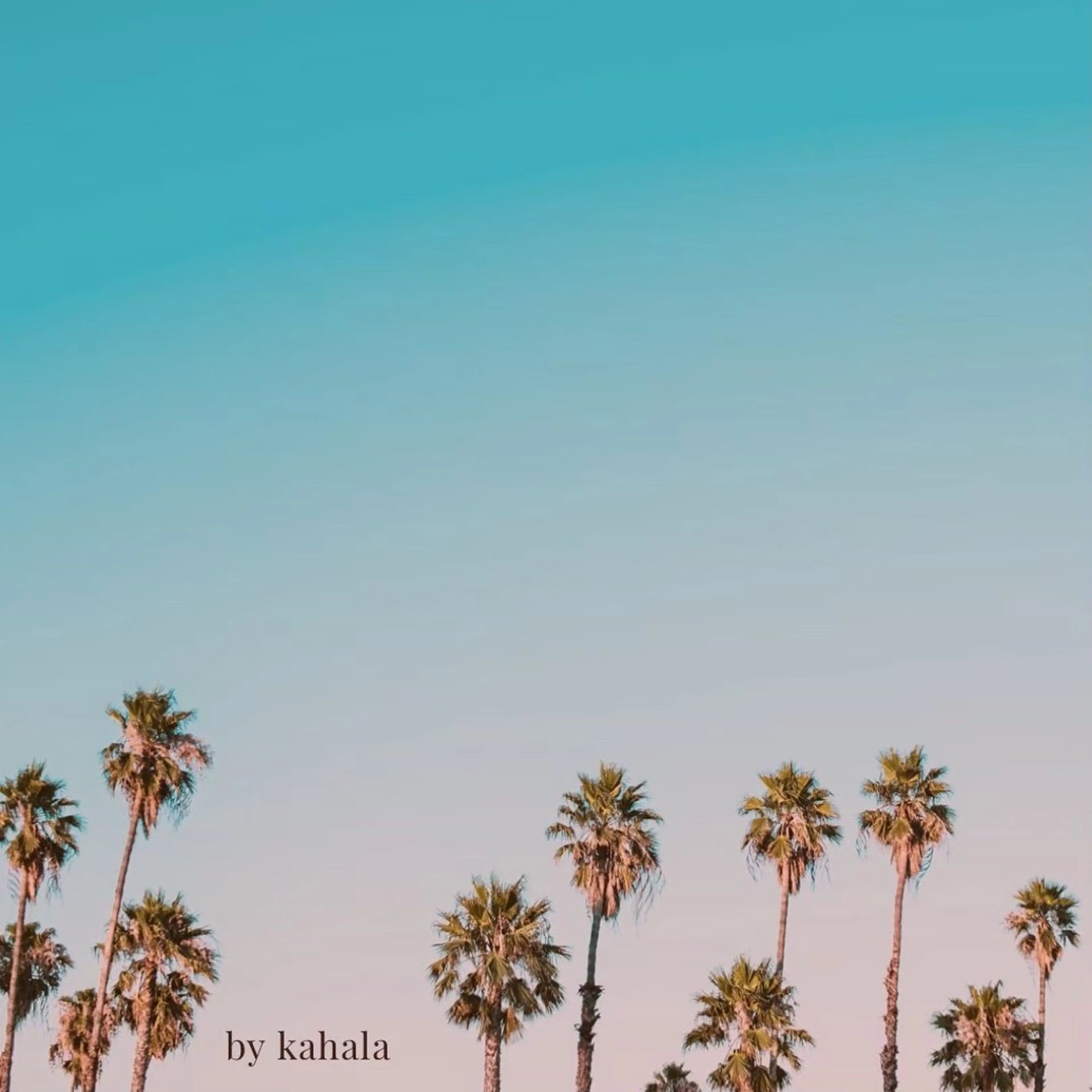 🌹美眉ワックス&眉パーマ🌹[所要時間90分]の写真