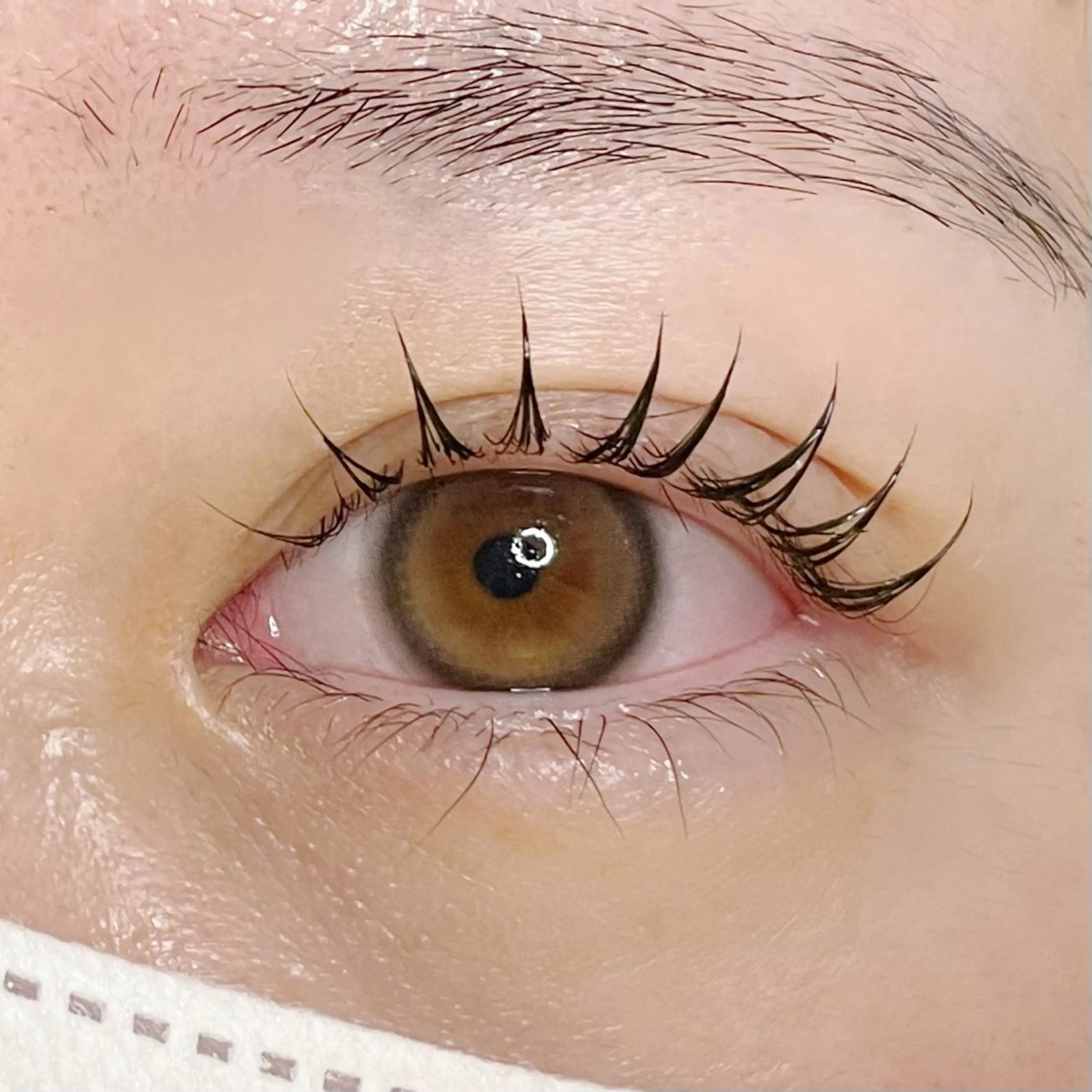 【人気】ラッシュリフト🦄✨の写真