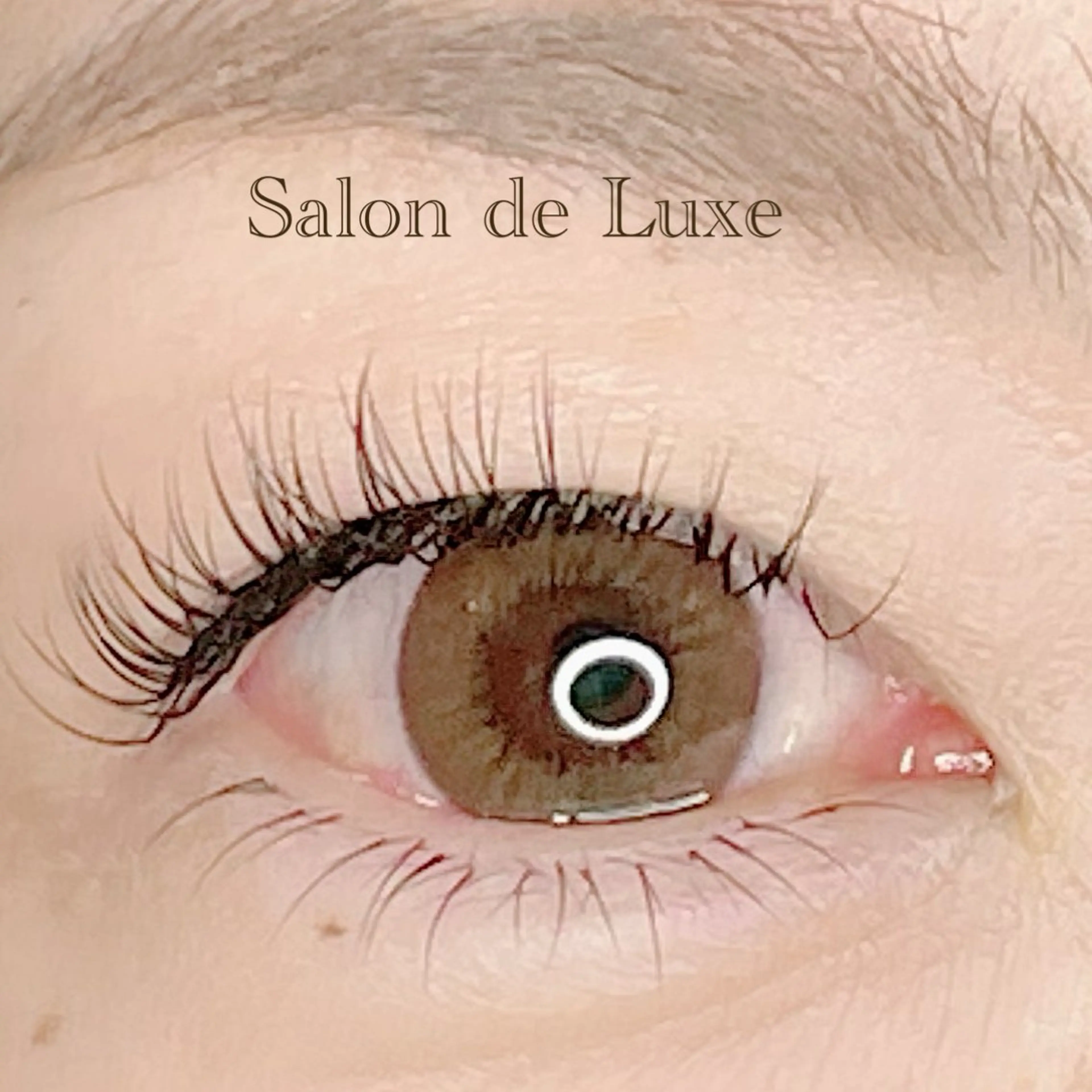 マツエク・マツパ マツエク Salon de Luxe所属・Salon de Luxeの眉毛・アイブロウイメージ