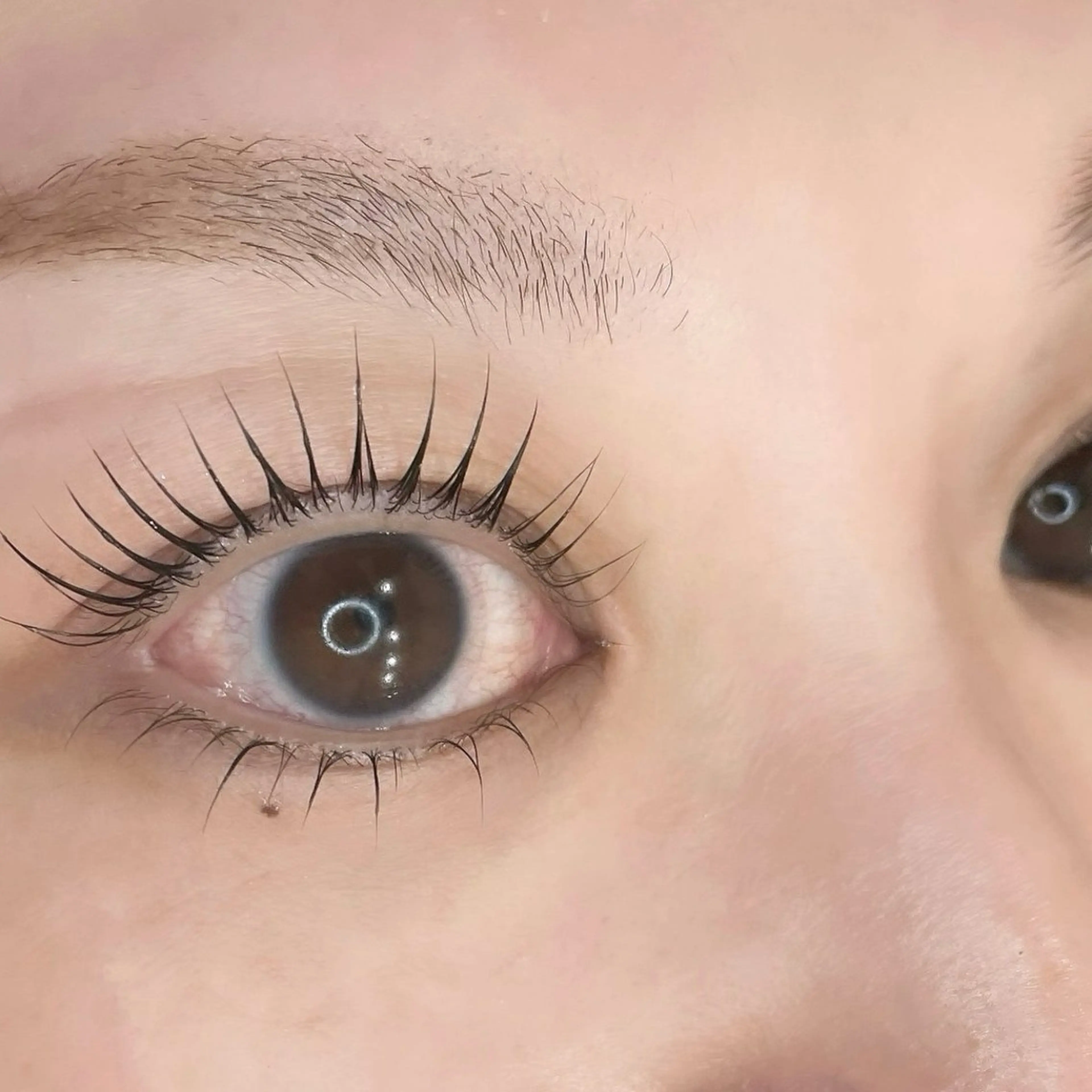 【年末年始限定価格！】韓国で話題!!マスカラパーマ🤍まつげパーマ（ラッシュリフト）🏹の写真