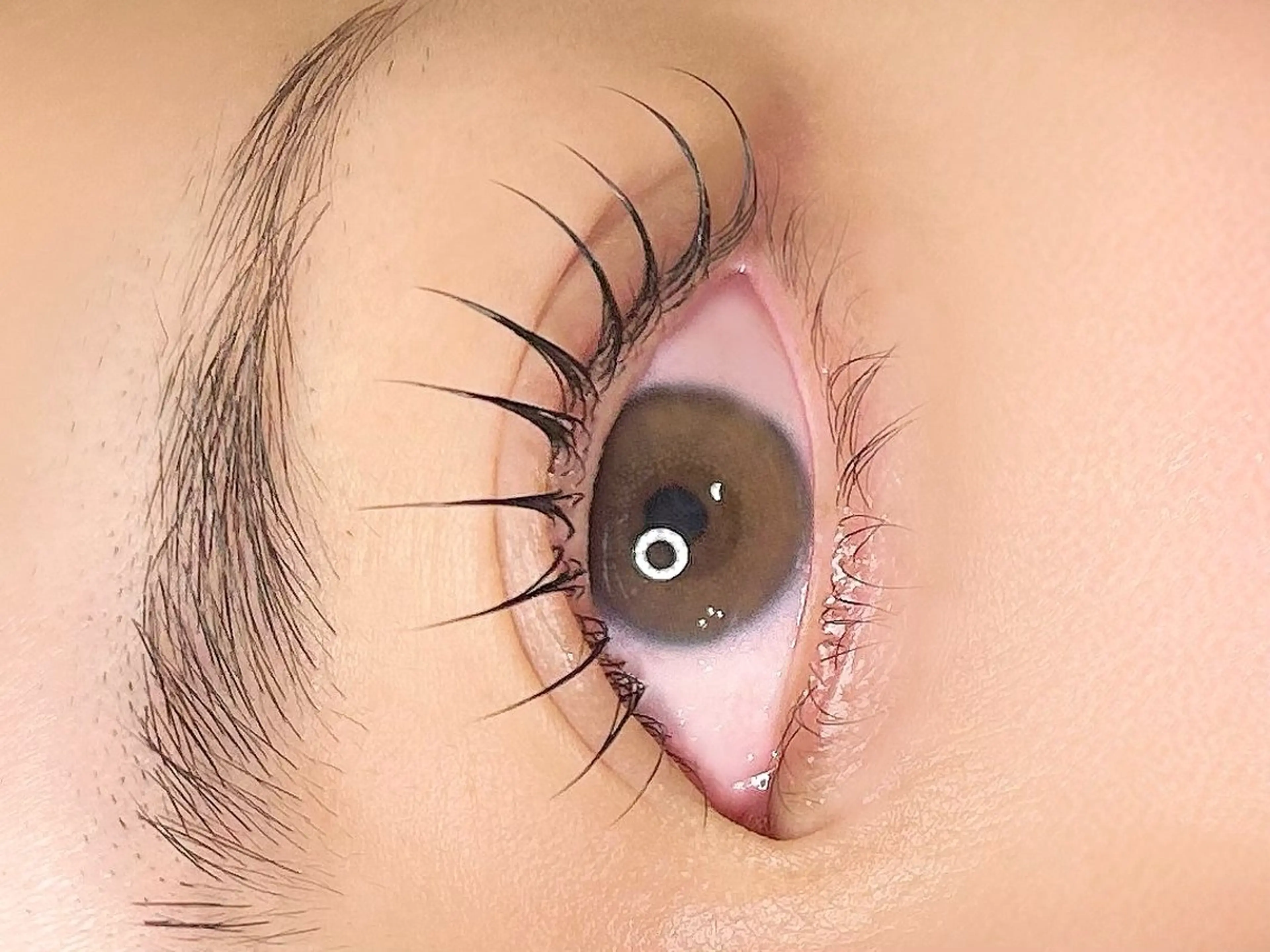 マツエク・マツパ Mia 🕯️🤍のマツエク・マツパデザイン