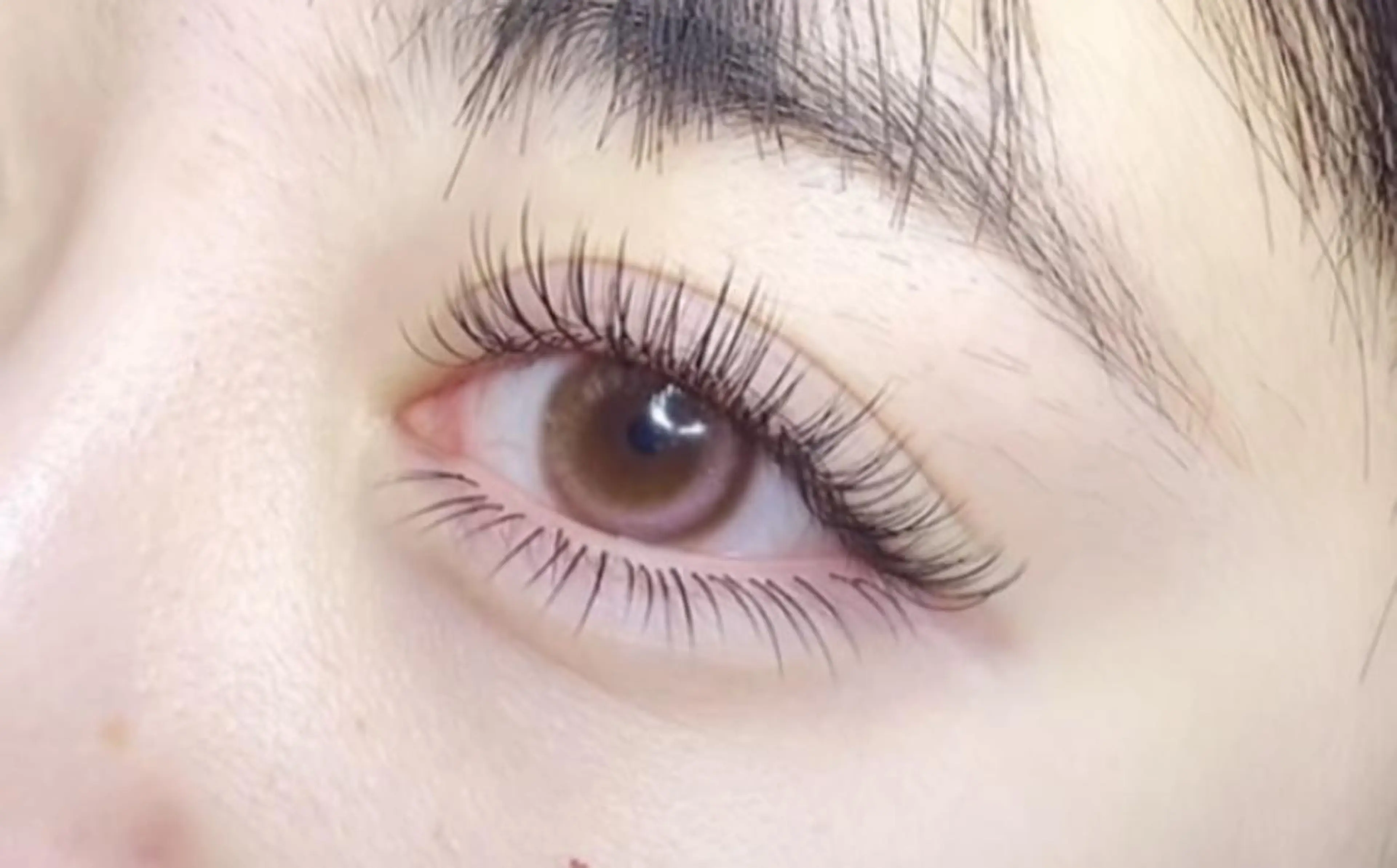 マツエク・マツパ ネイル Cute beauty2のマツエク・マツパデザイン