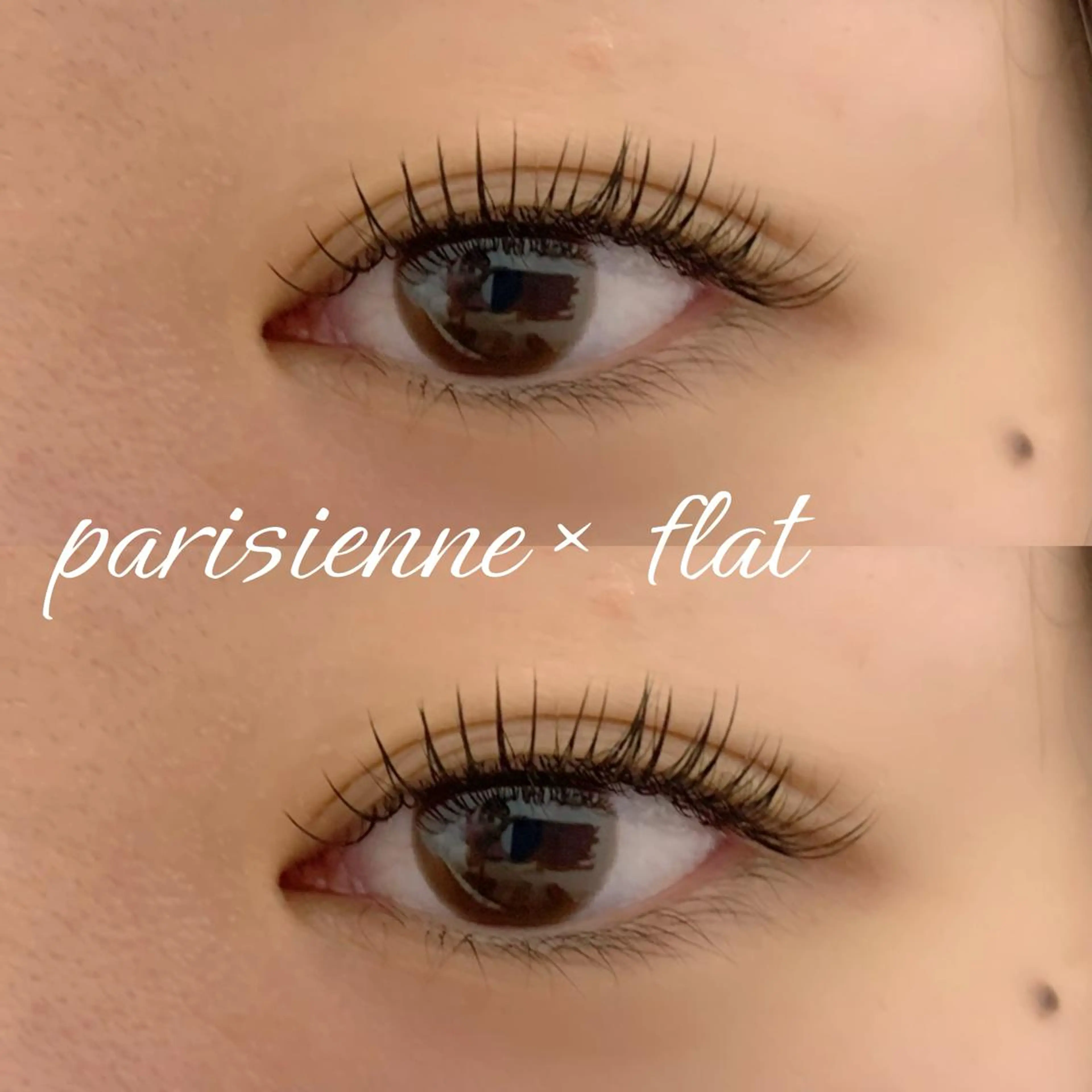 パリエク 100本 / W50束 (フラットorダブルフラット)の写真