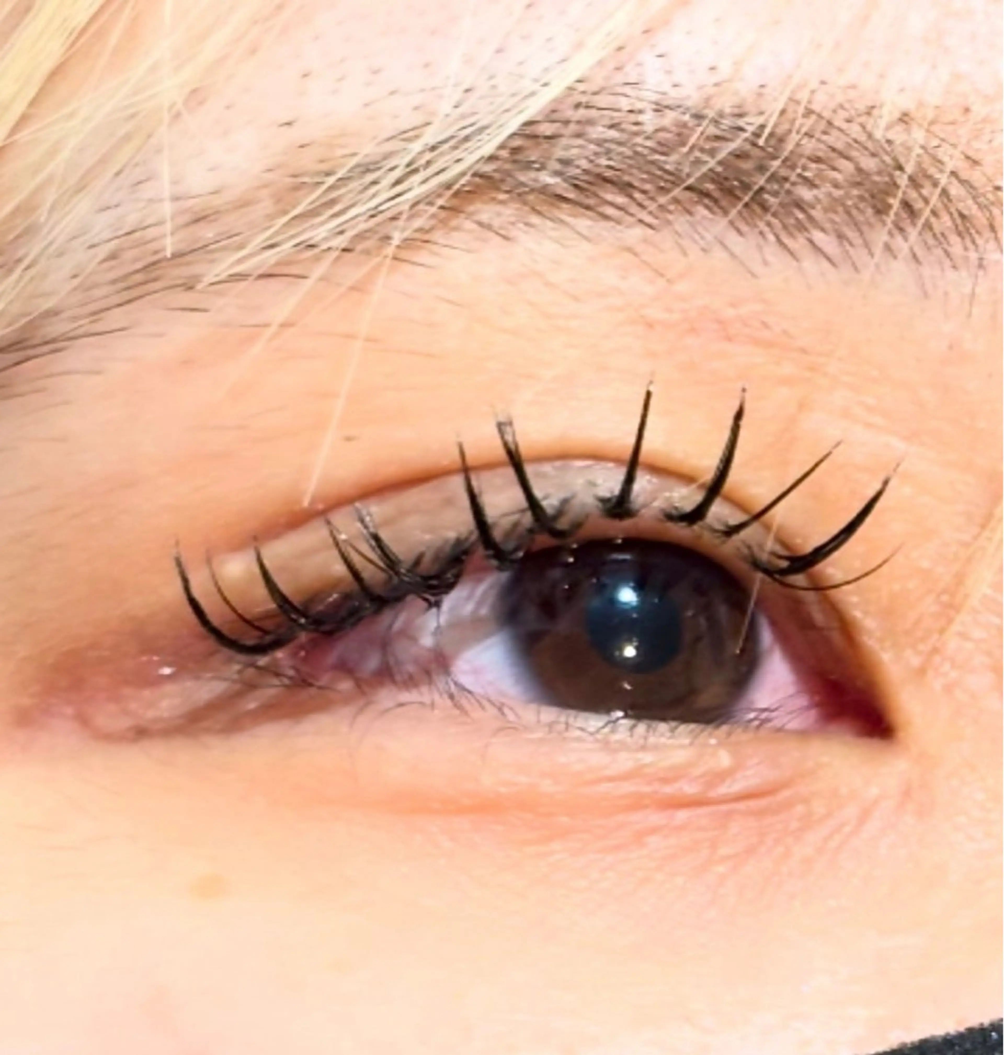 マツエク・マツパ 成田 美翔のヘアスタイル