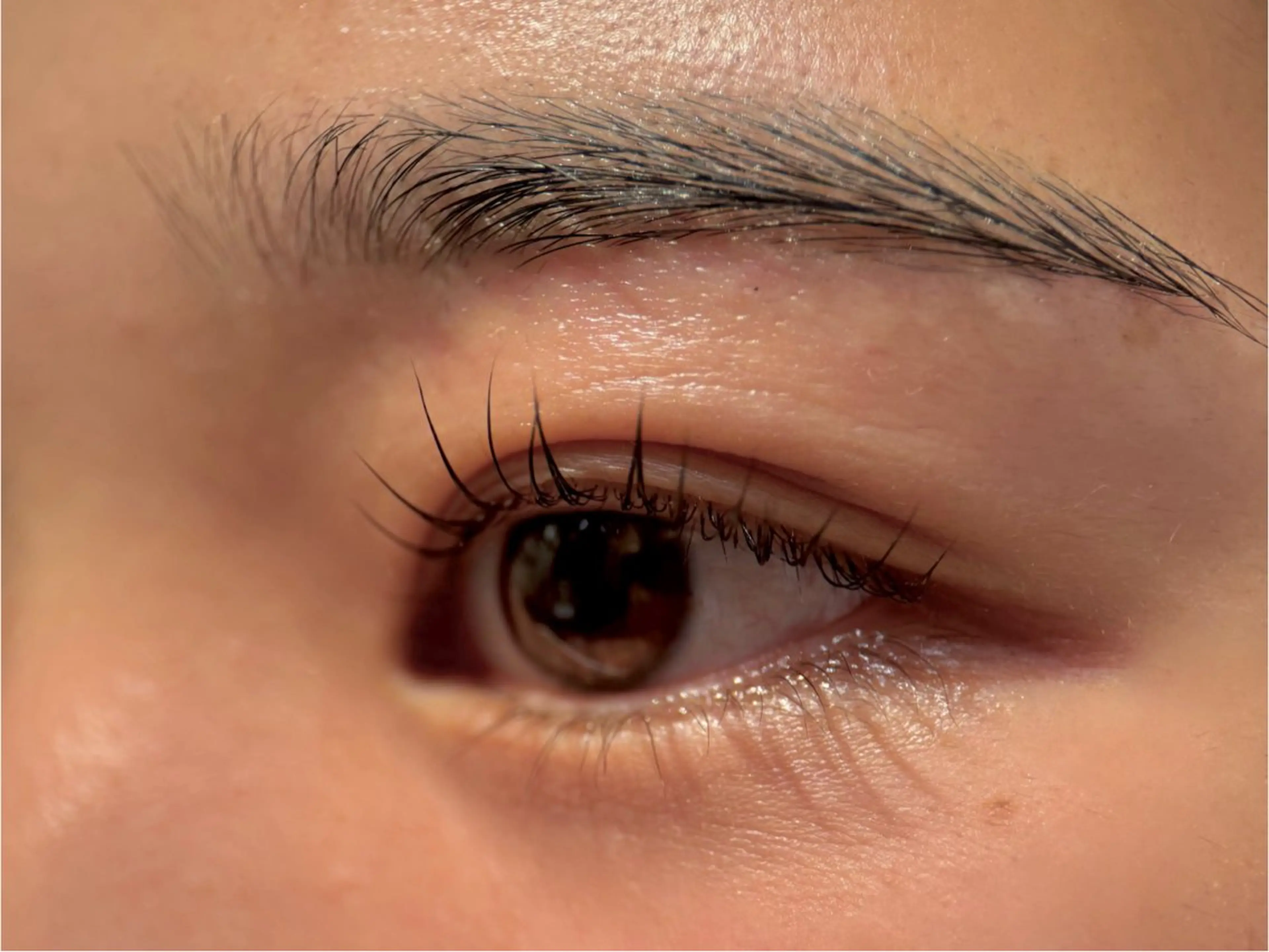 アイブロウ その他 Hau’oli Hirayamaの眉毛・アイブロウイメージ