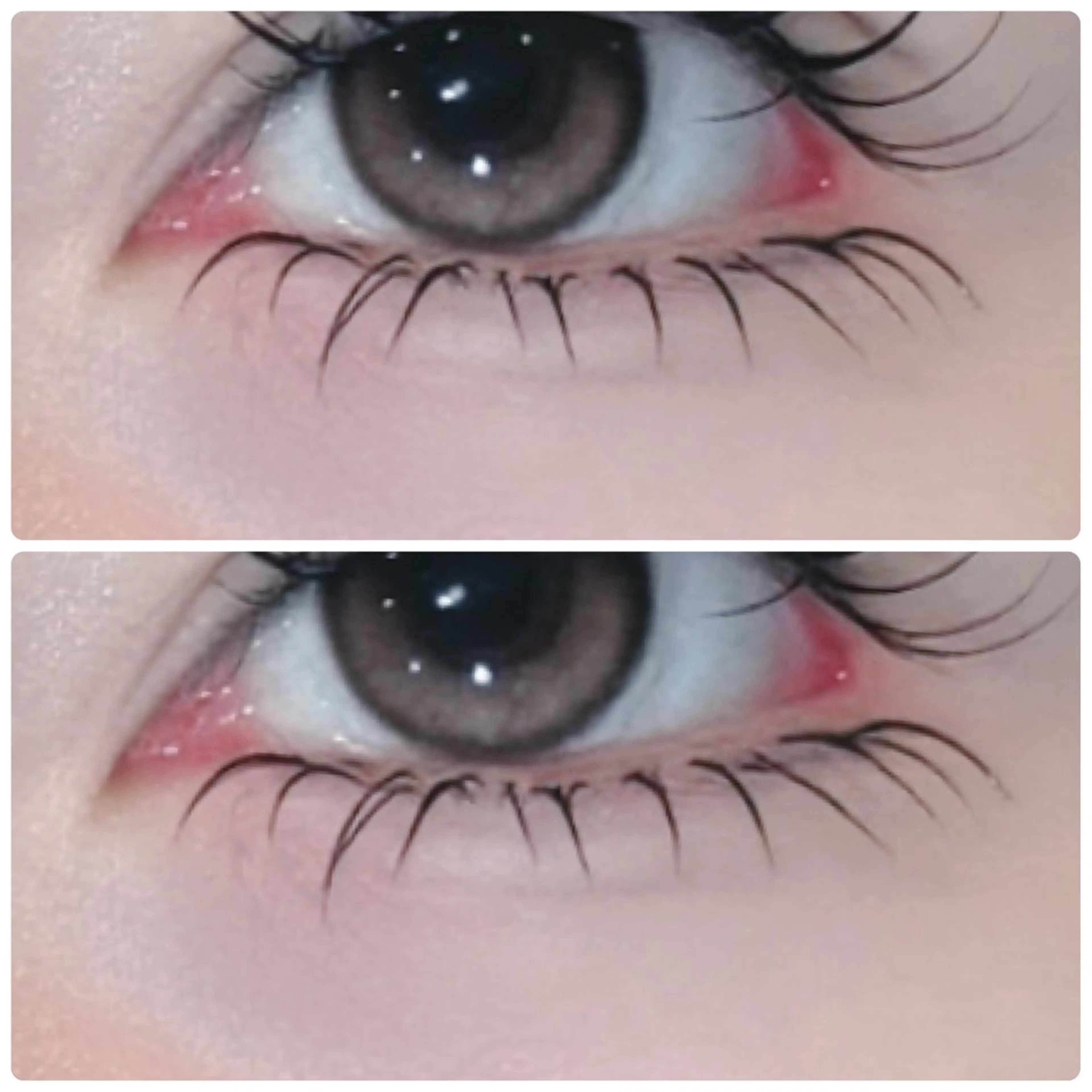 🍒ྀི下まつ毛エクステ40本🍒ྀིの写真