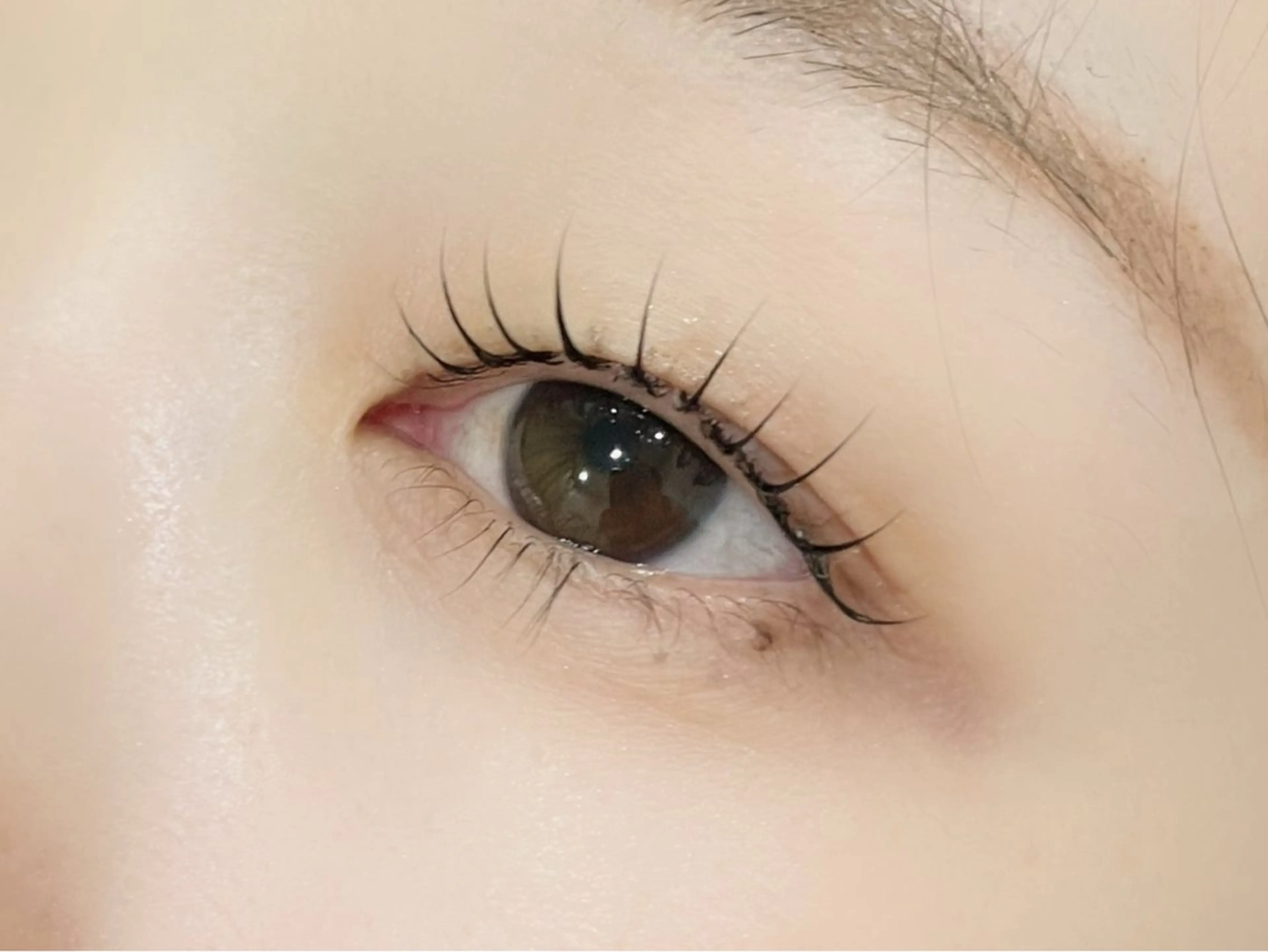 【👀タレ目デザイン👀】♪まつげパーマ/メーテルロッド使用♪の写真