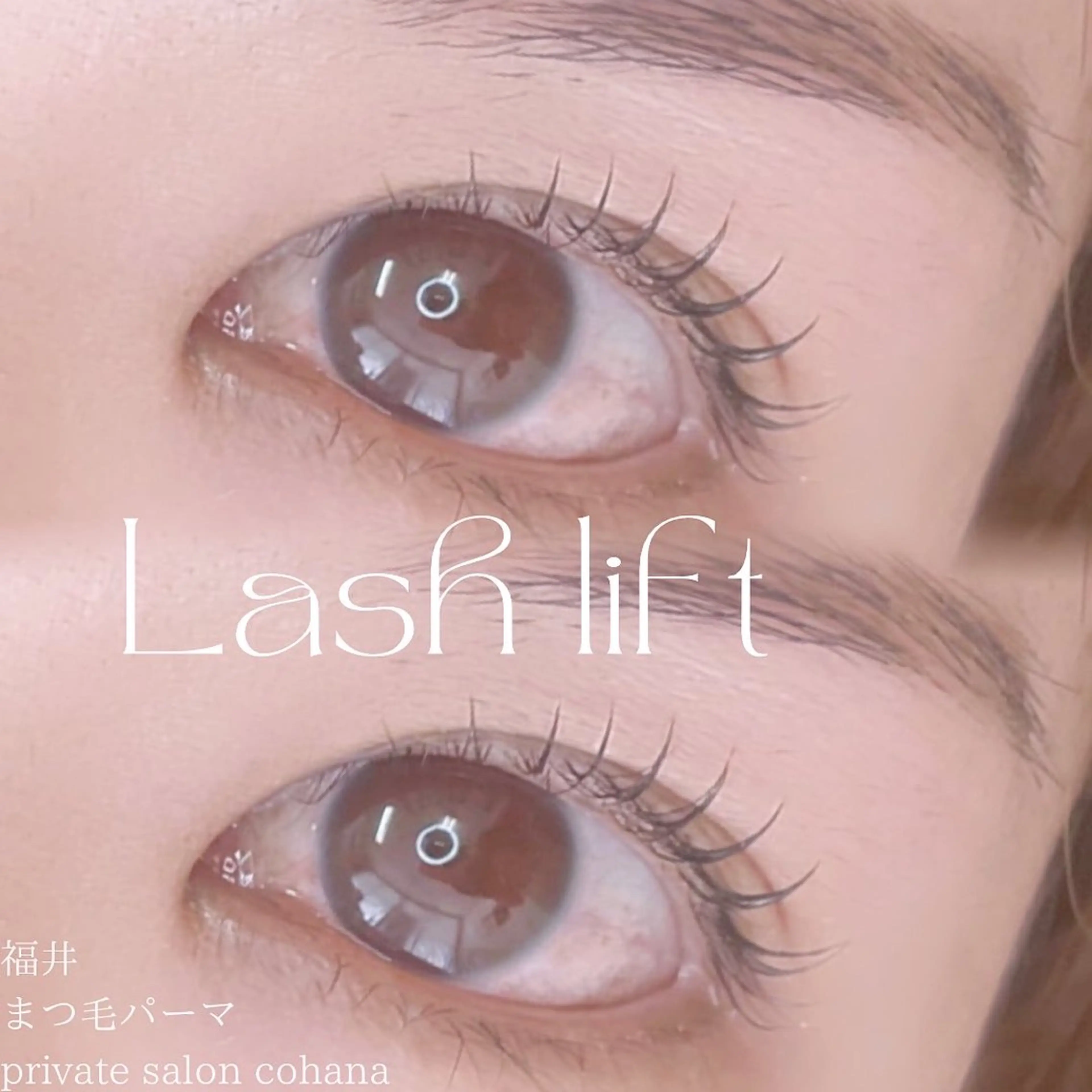 ãããšã¯ã»ããã äžéÃãŸã€æ¯ããŒã cohana mariã®ãããšã¯ã»ããããã¶ã€ã³