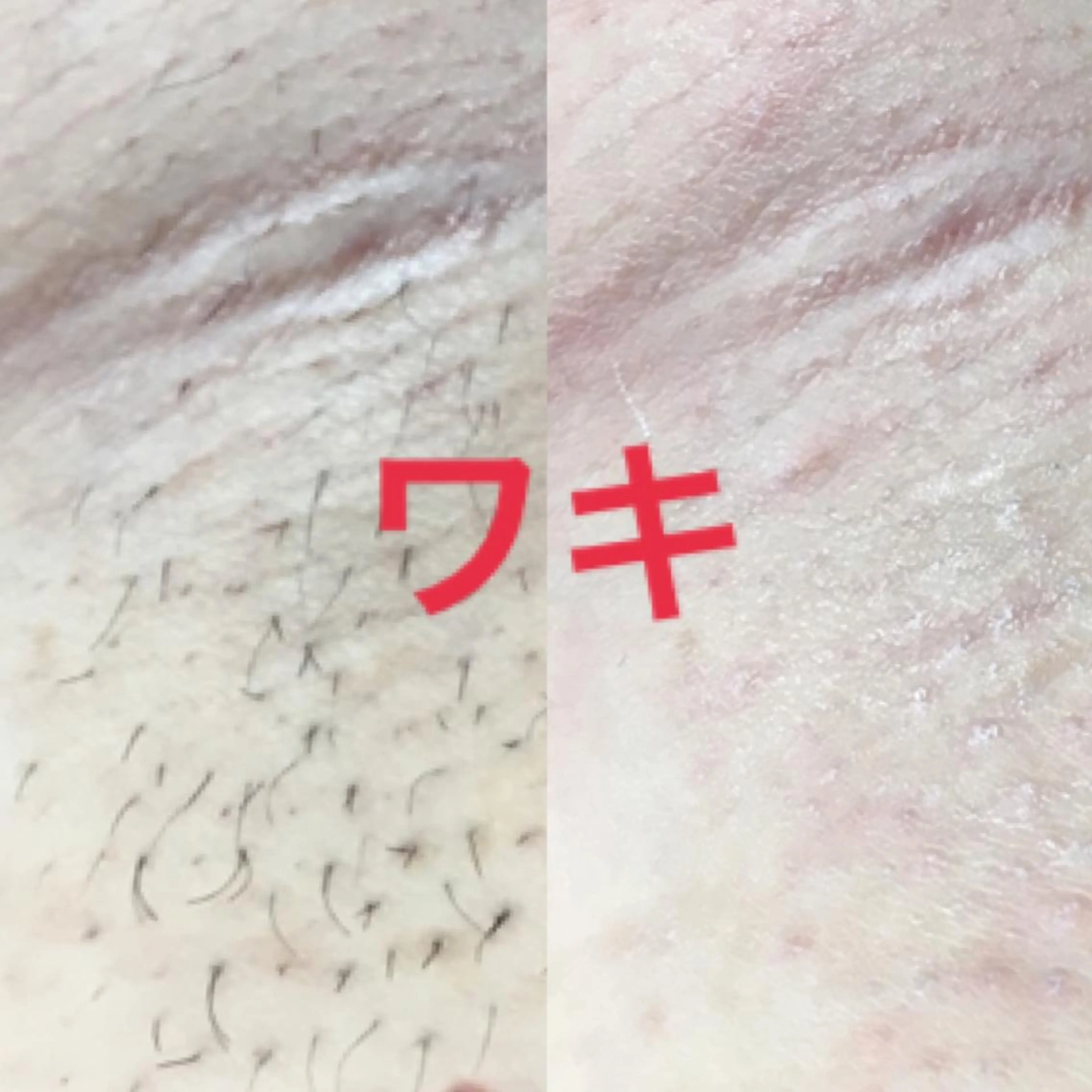 Nakamura Atsukoの眉毛・アイブロウイメージ