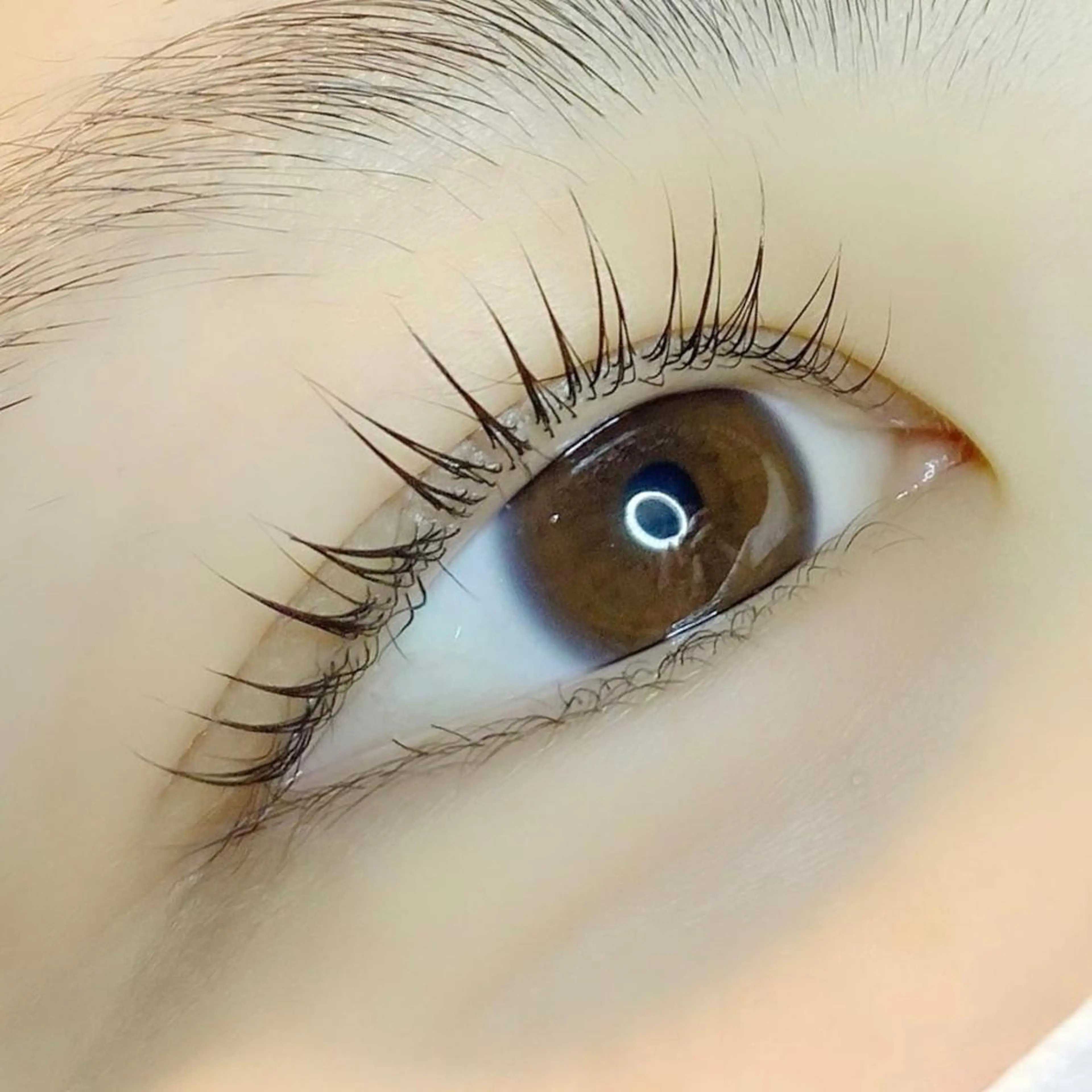 マツエク・マツパ パリジェンヌラッシュリフト まつげパーマ KURUMI🦋 まつエクまつパ美眉のマツエク・マツパデザイン