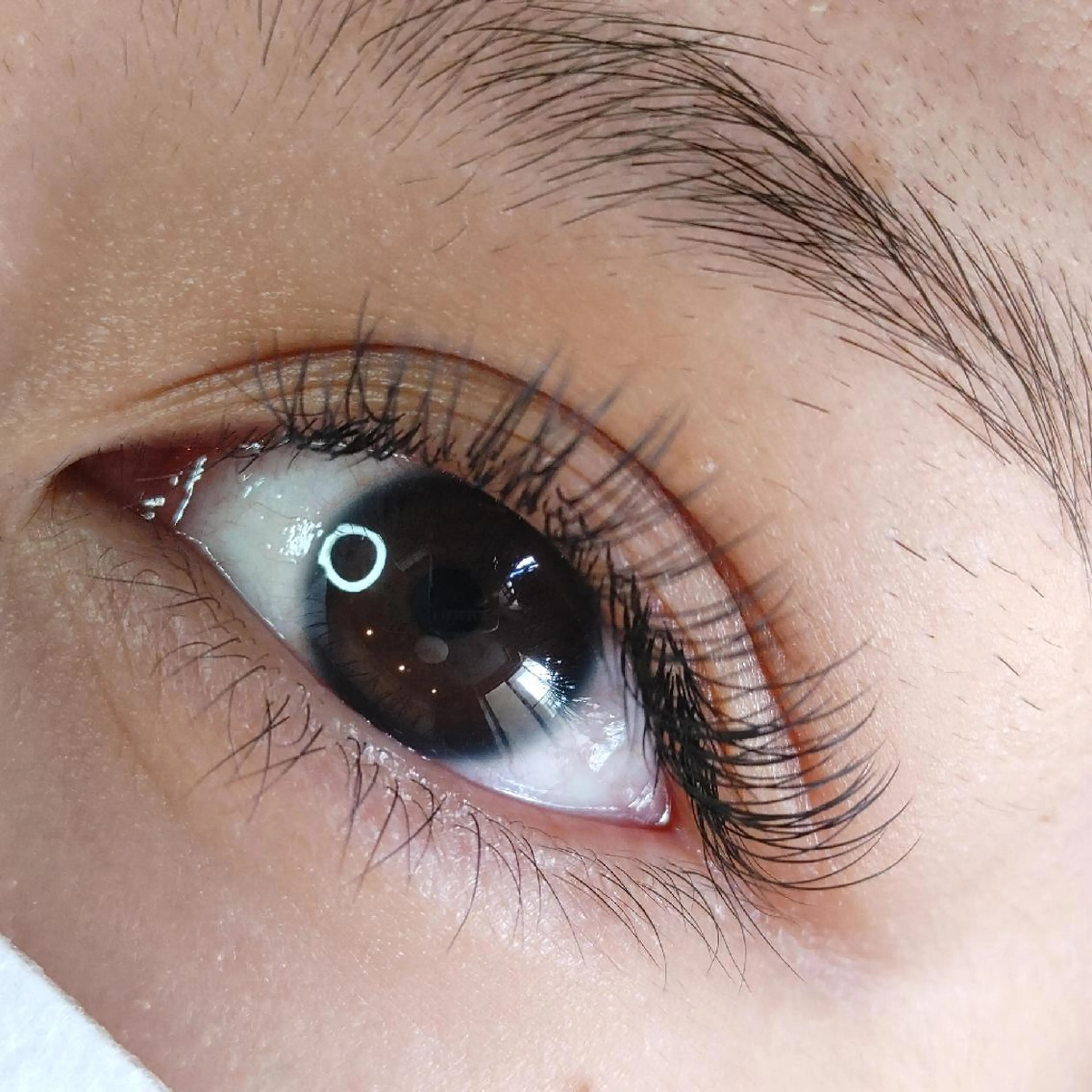 マツエク・マツパ Nagao Ayumiのマツエク・マツパデザイン