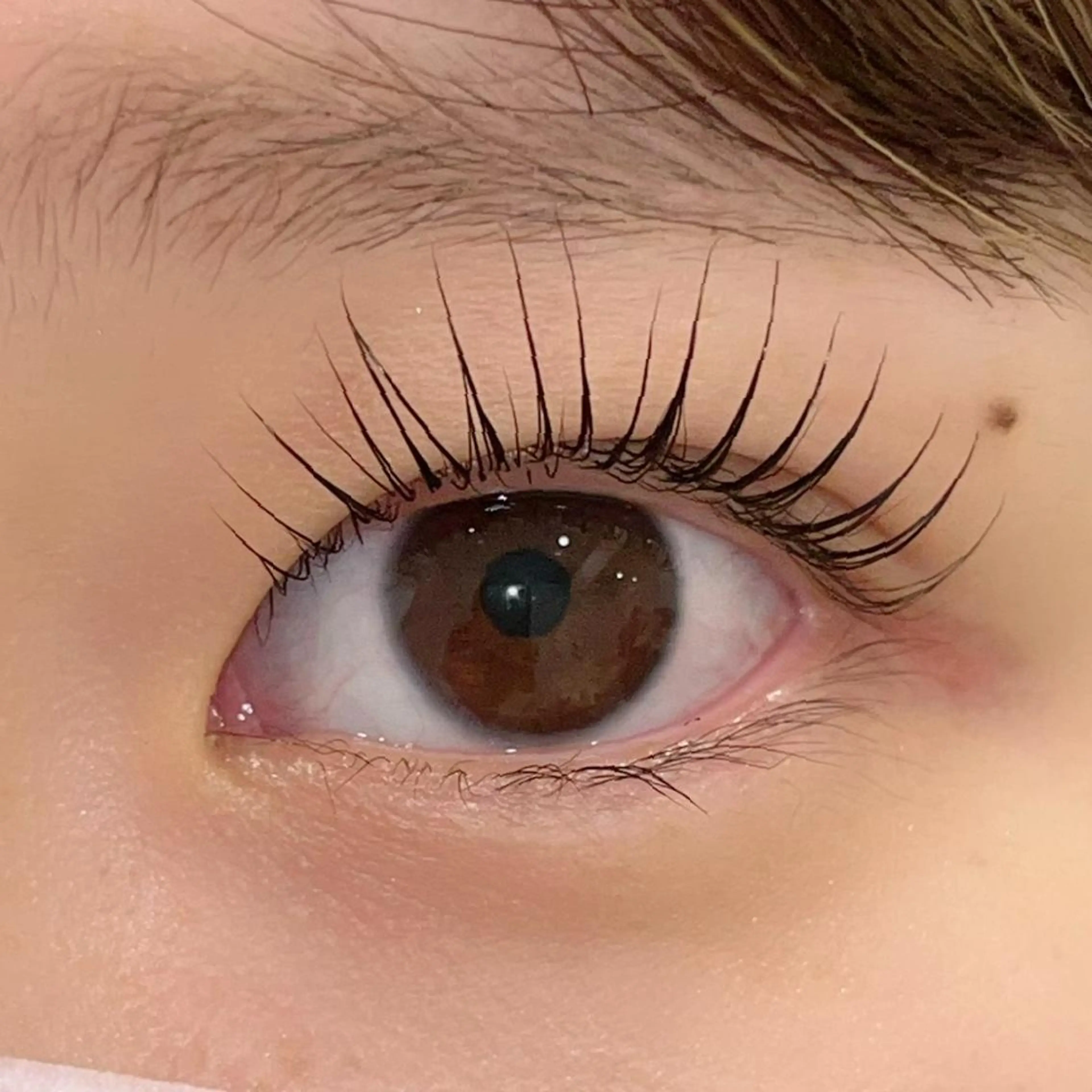 マツエク・マツパ パリジェンヌラッシュリフト まつげパーマ ai一重専門🎀束感 まつげ🫧表参道のマツエク・マツパデザイン